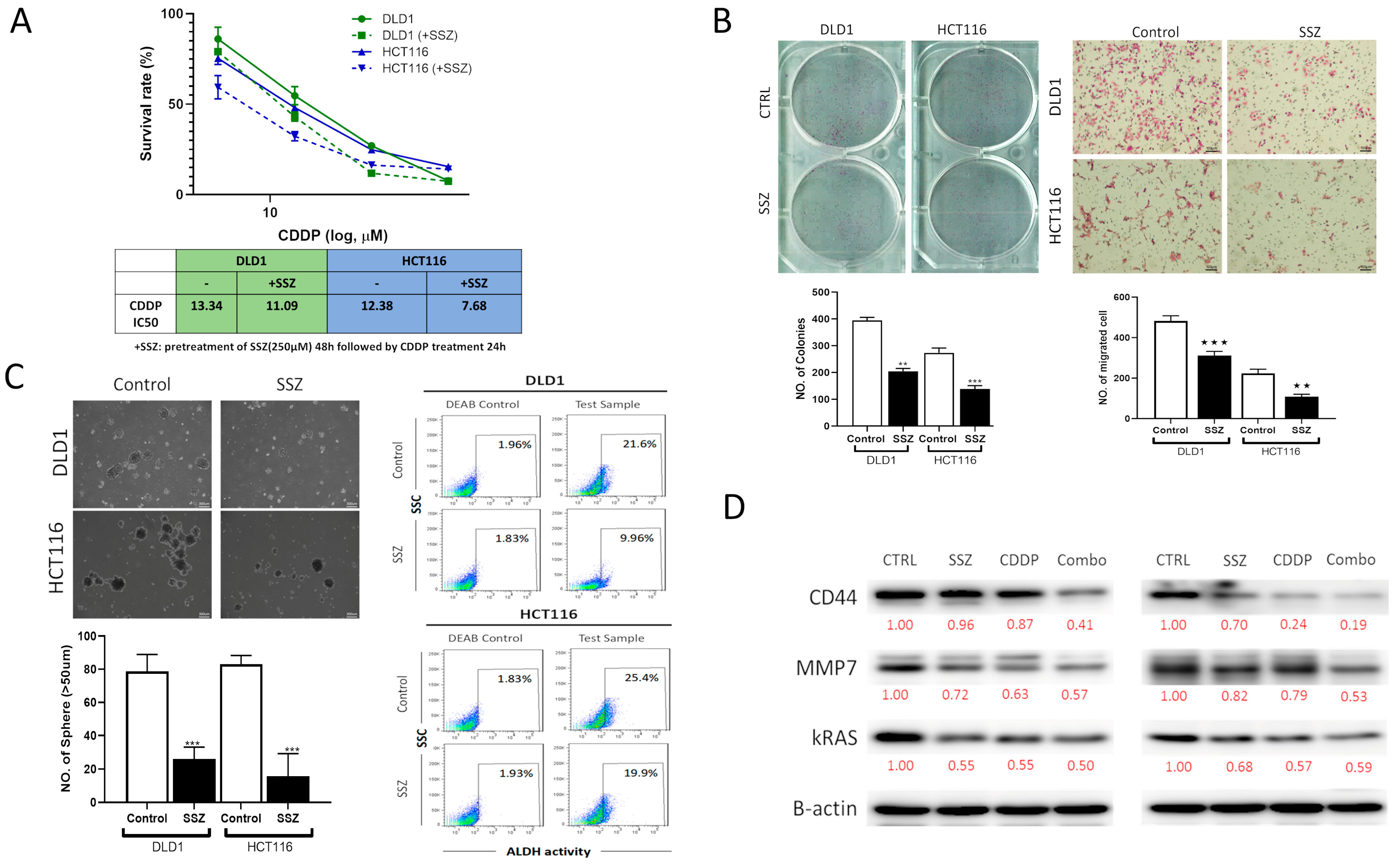 Biomedicines 13 00547 g011