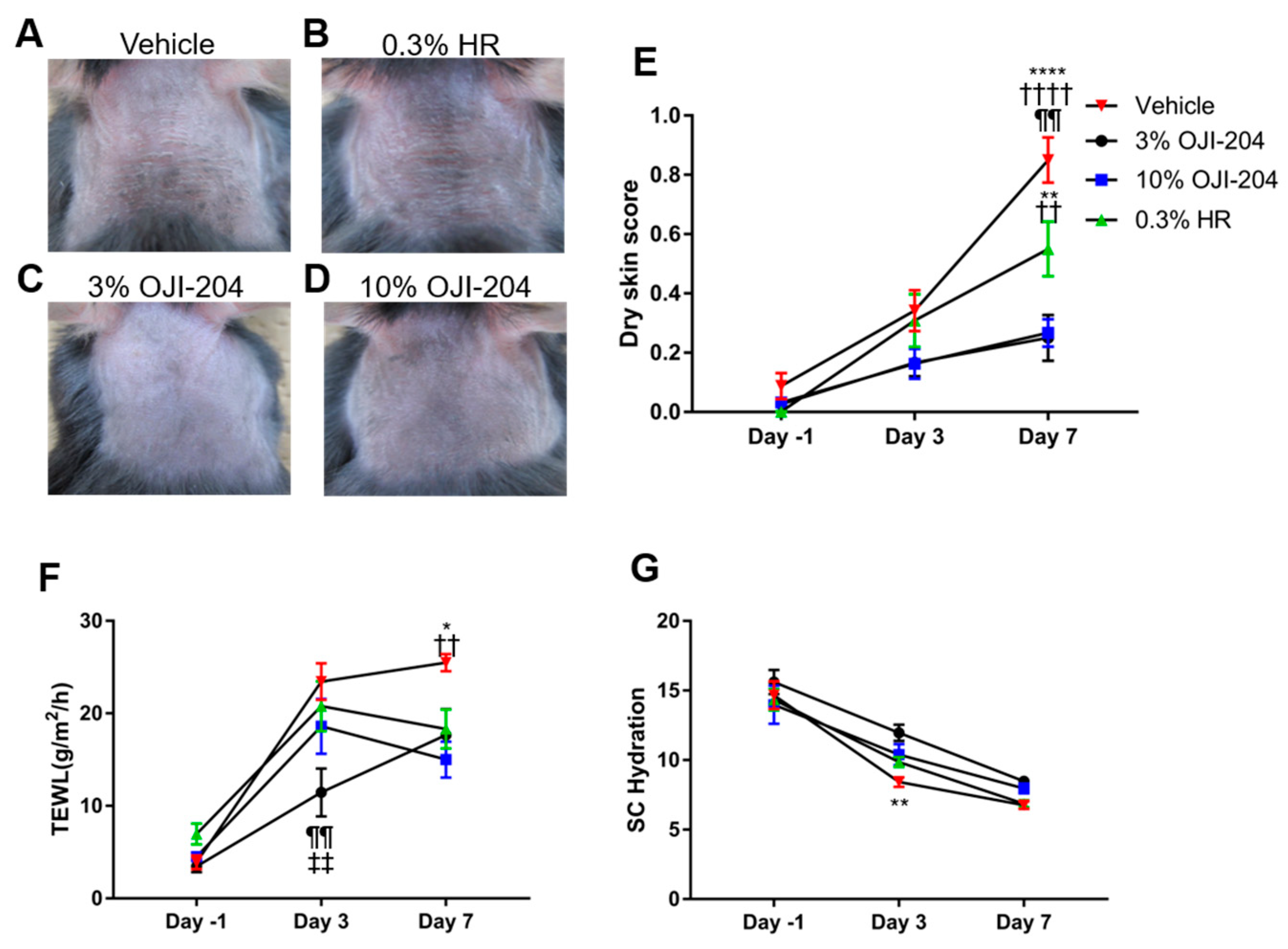 Biomedicines 13 00556 g003 Biomedicines 13 00556 g003