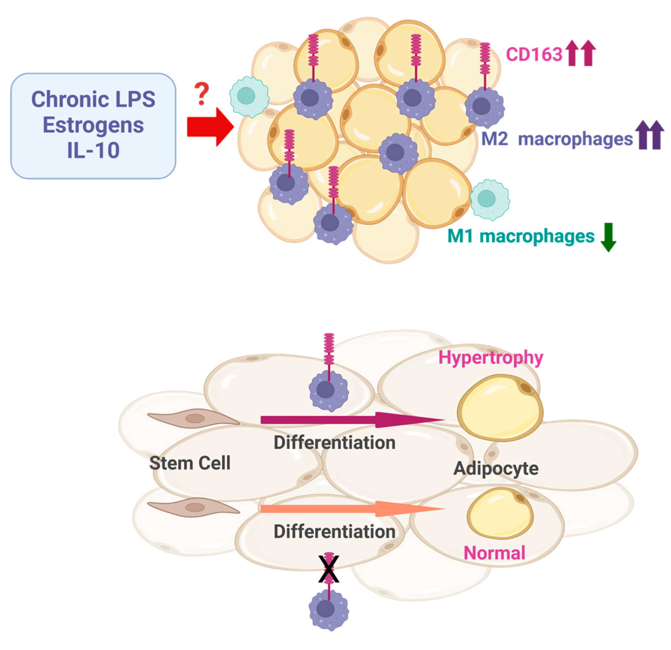 Biomedicines 13 00561 g001 Biomedicines 13 00561 g001