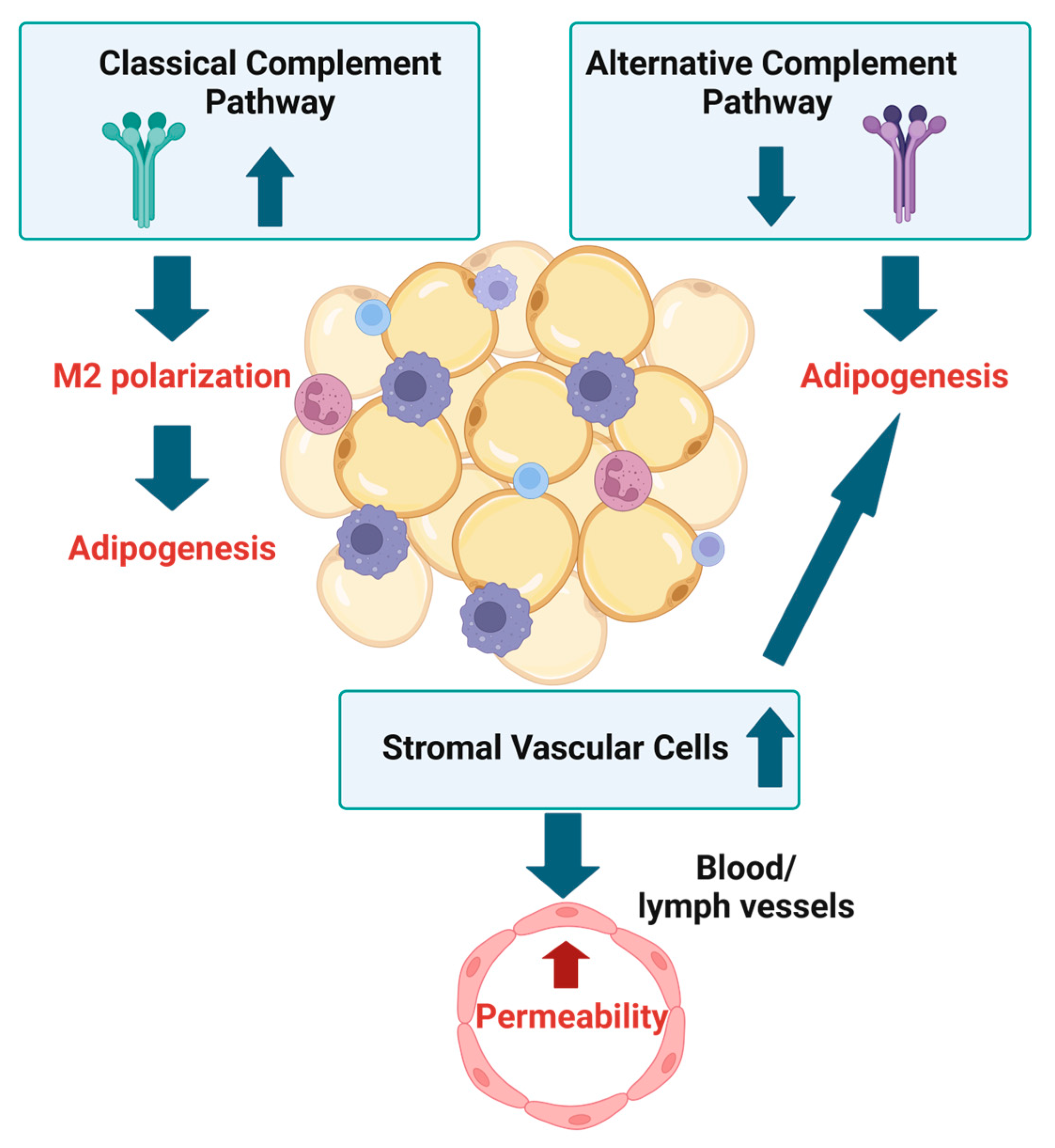 Biomedicines 13 00561 g002 Biomedicines 13 00561 g002