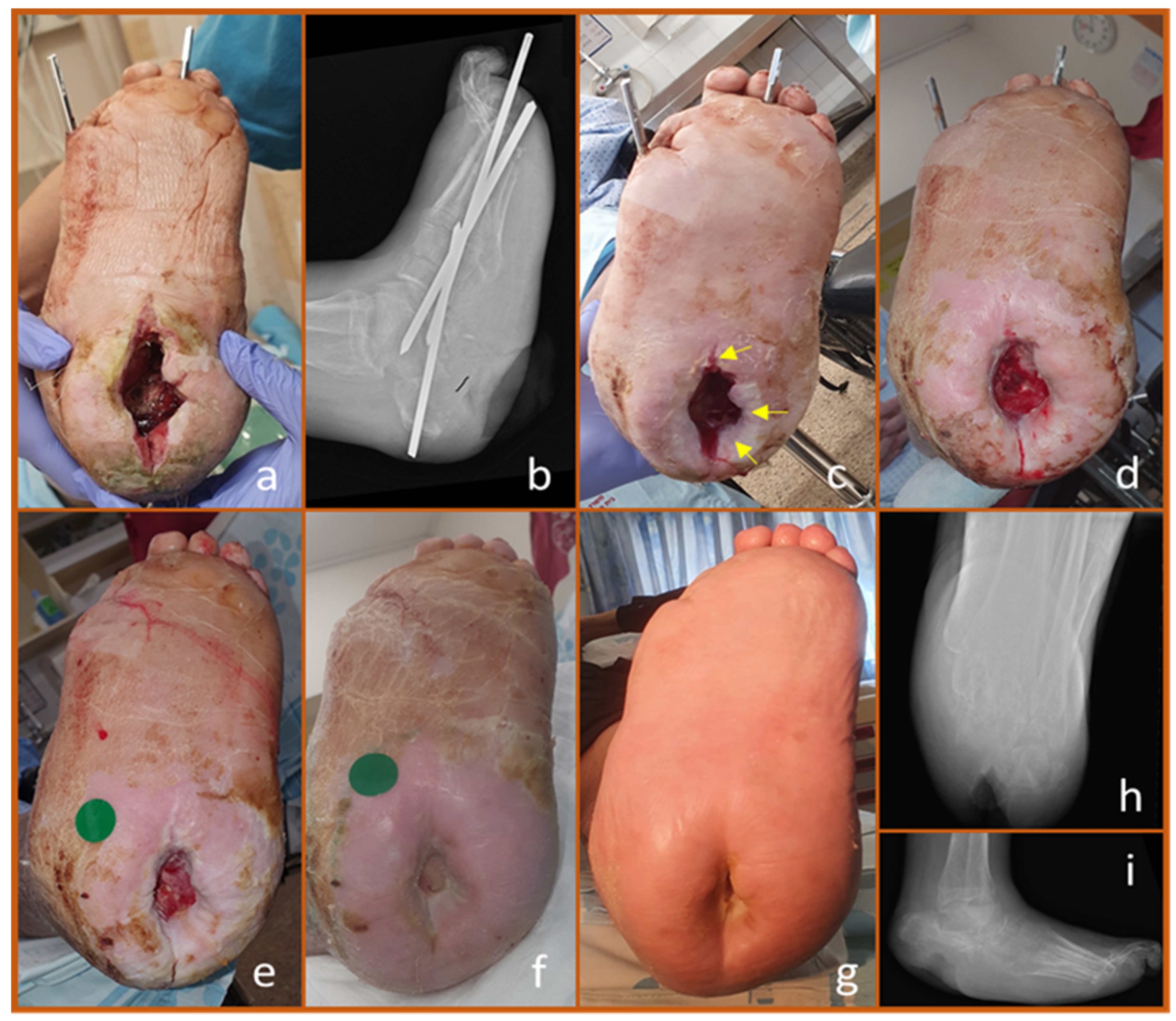 Biomedicines 13 00562 g004