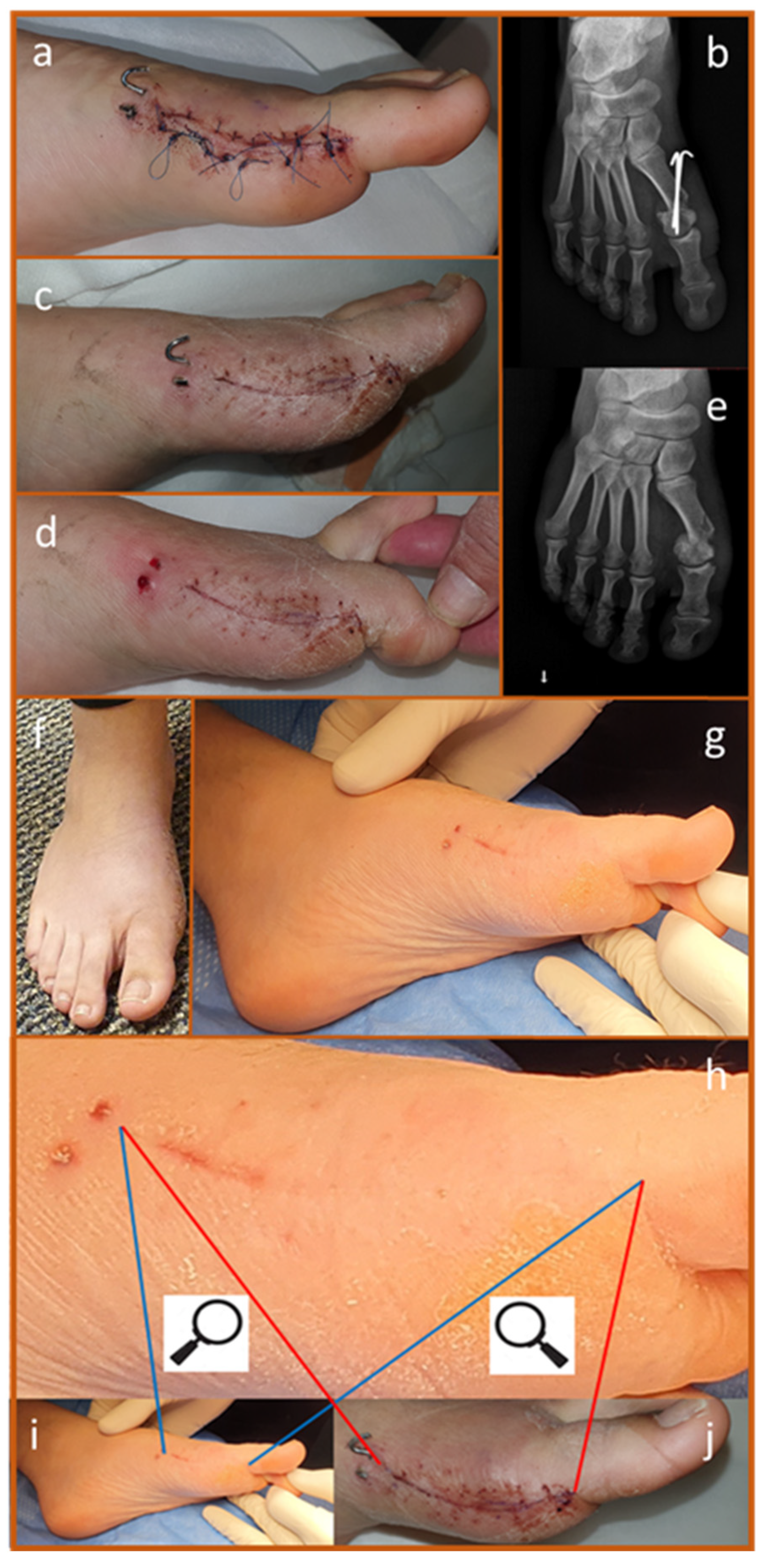 Biomedicines 13 00562 g006