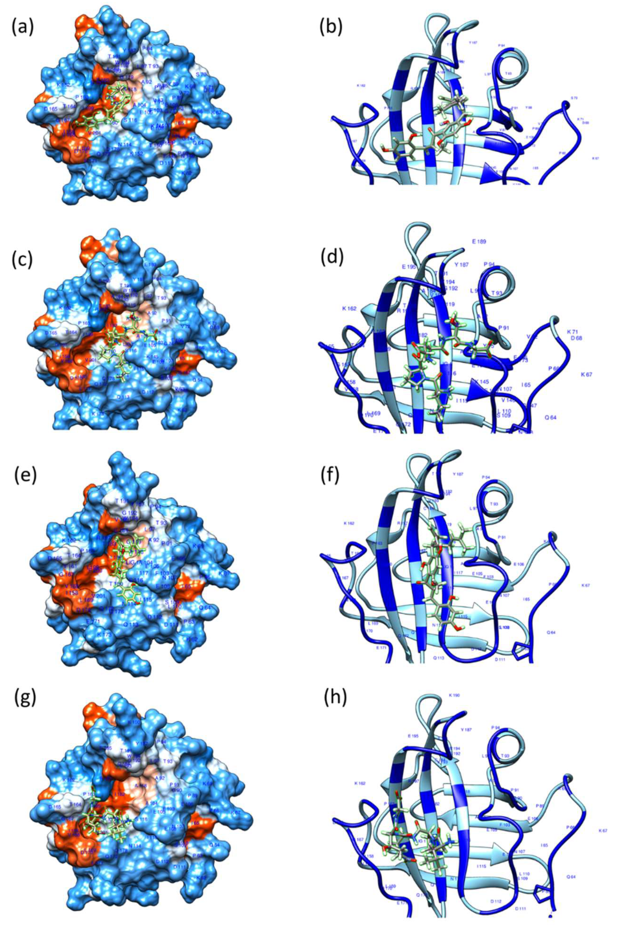 Biomedicines 13 00564 g005