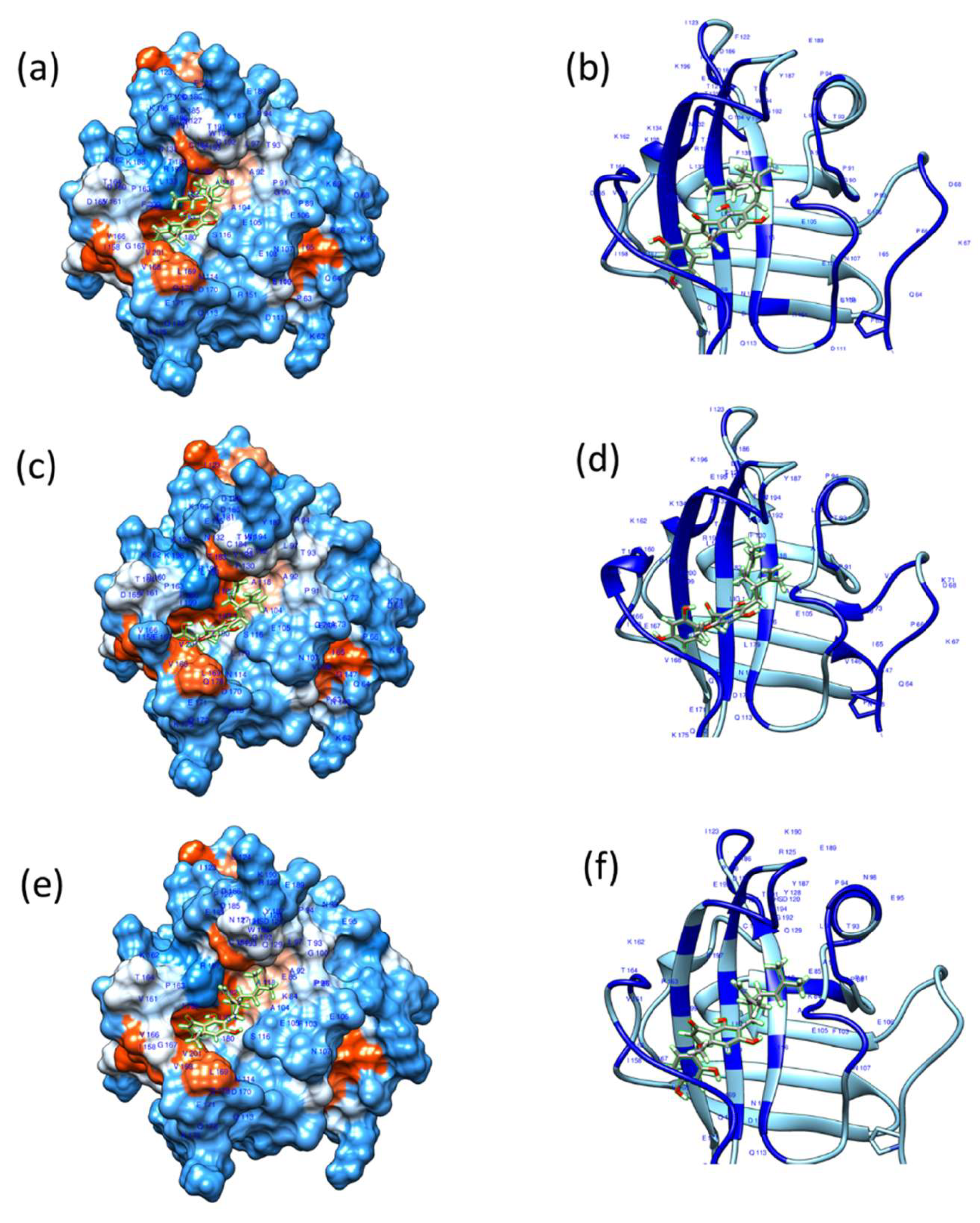 Biomedicines 13 00564 g006