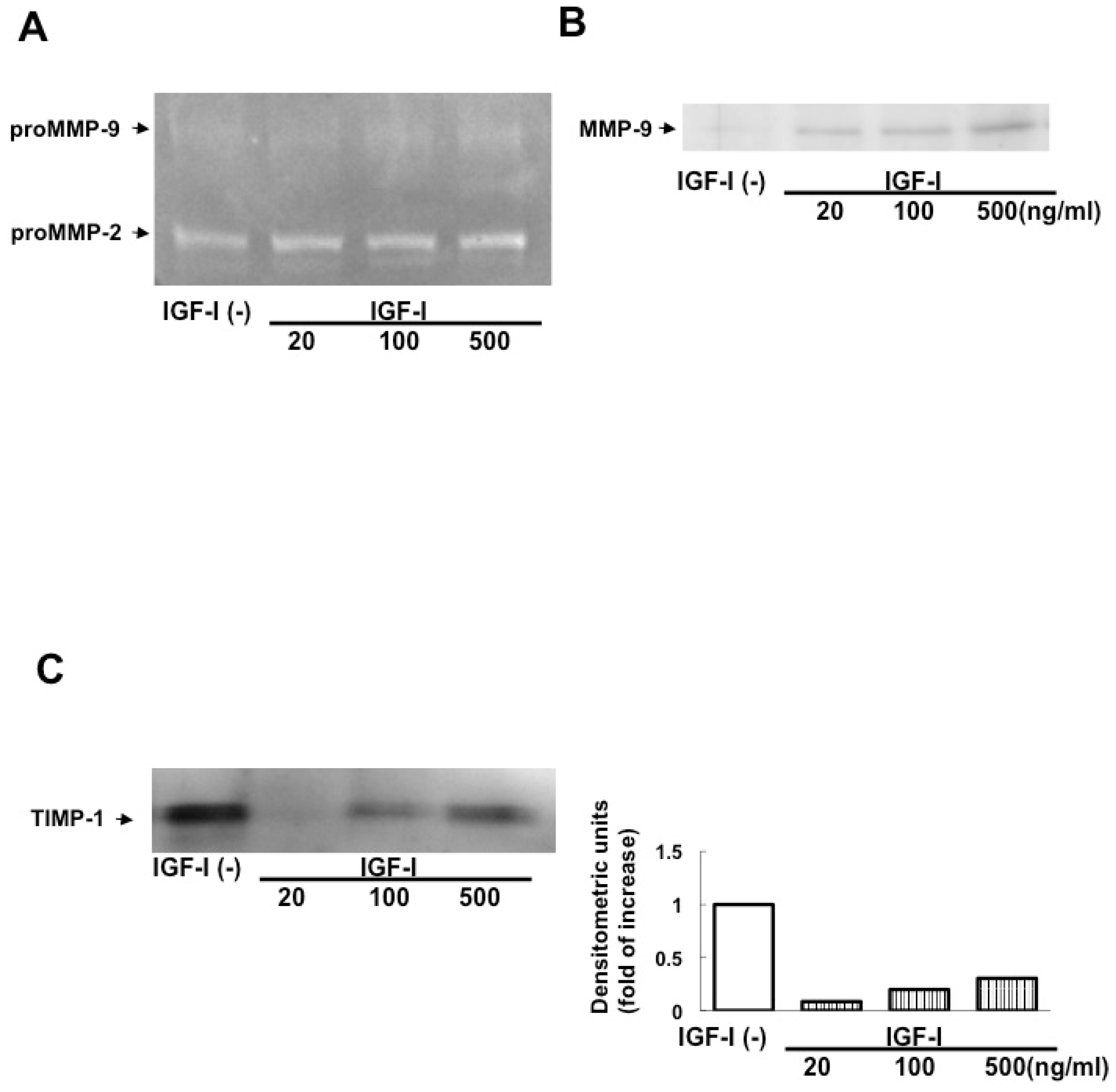 Biomedicines 13 00566 g003