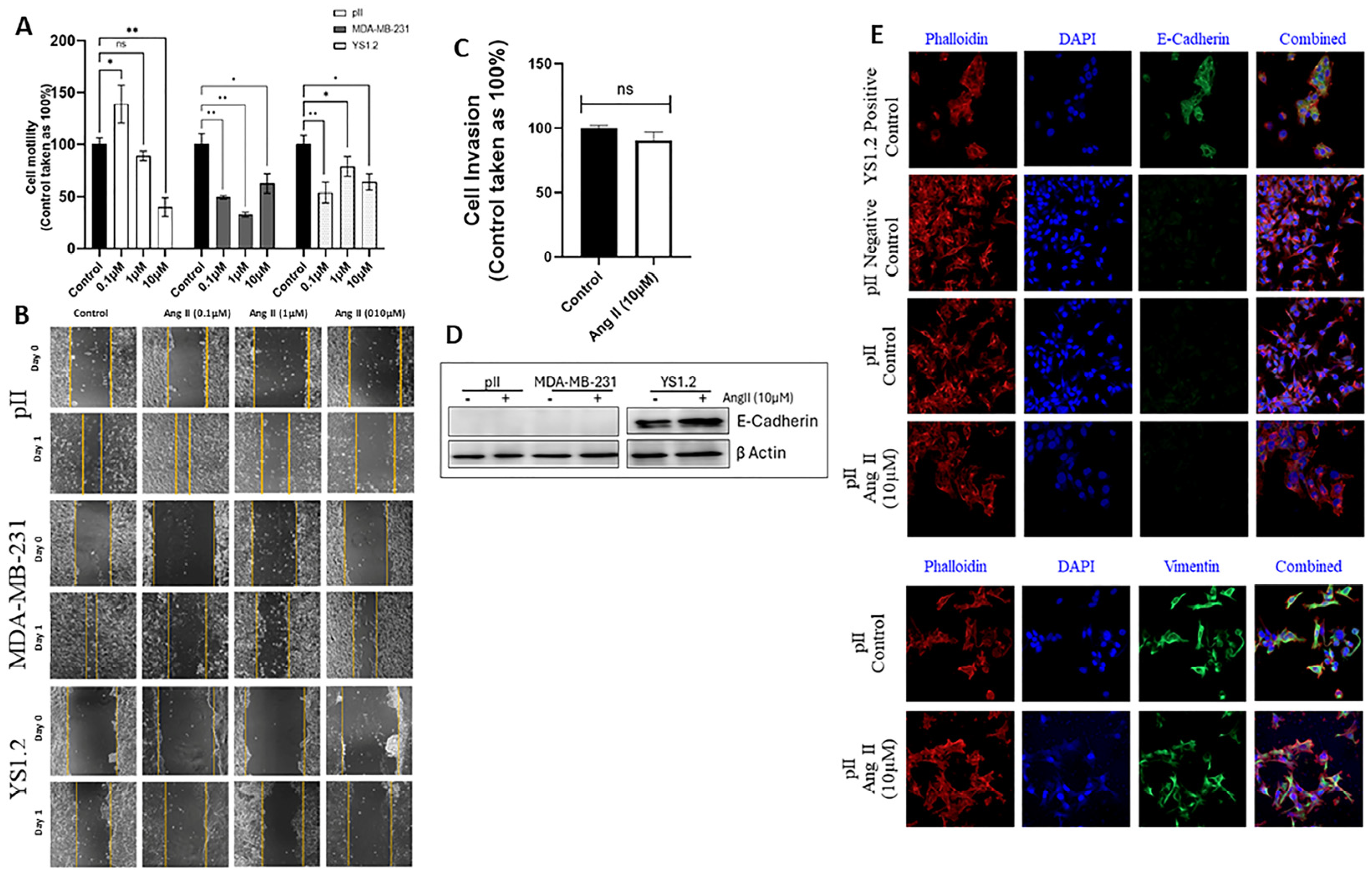 Biomedicines 13 00567 g003