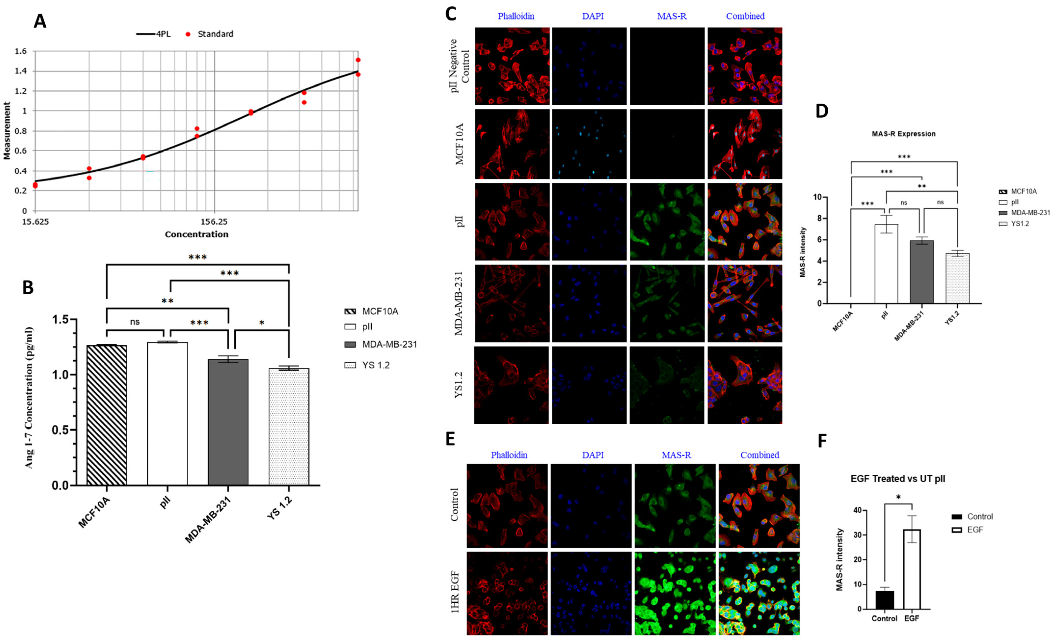 Biomedicines 13 00567 g004