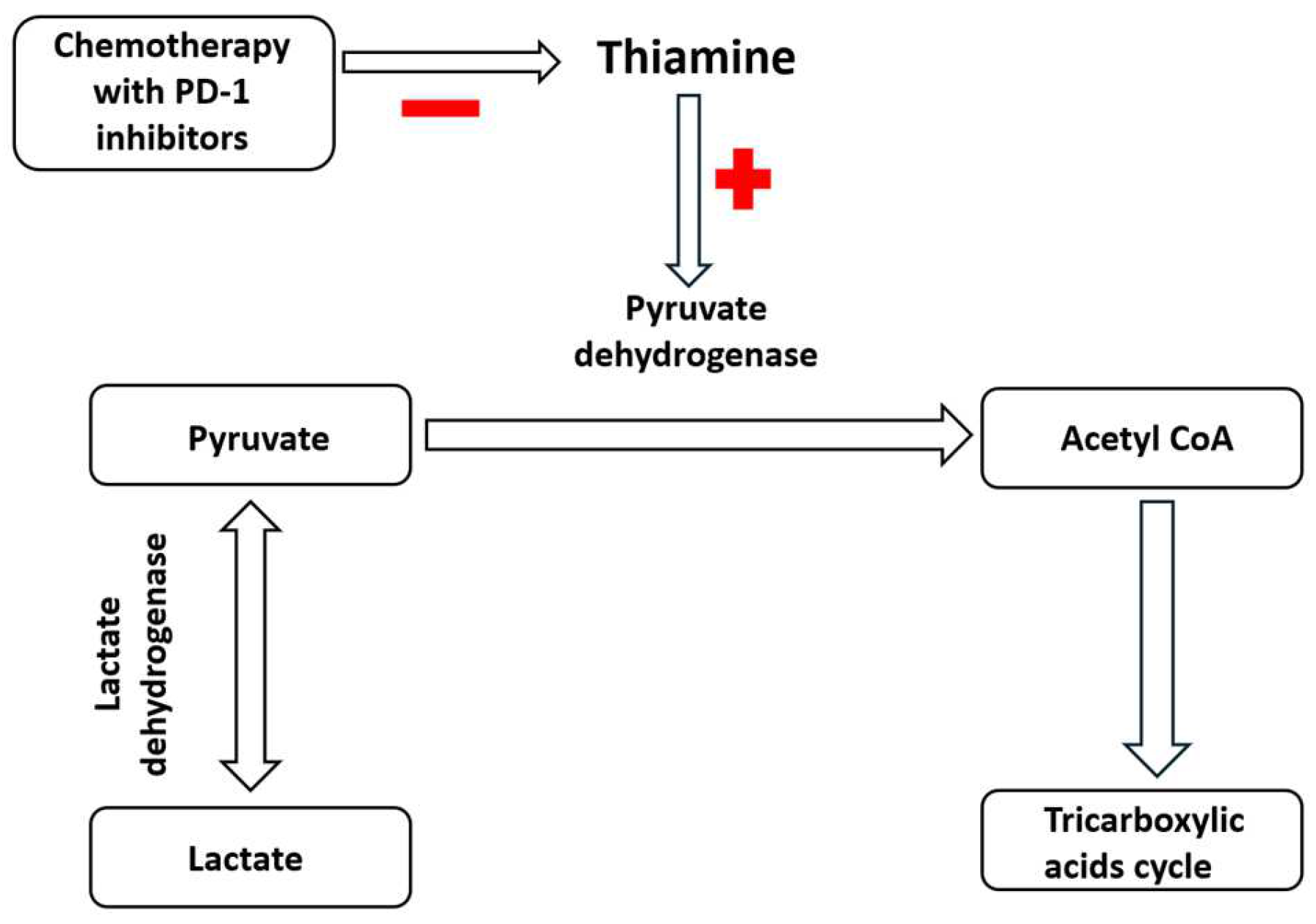 Biomedicines 13 00568 g003