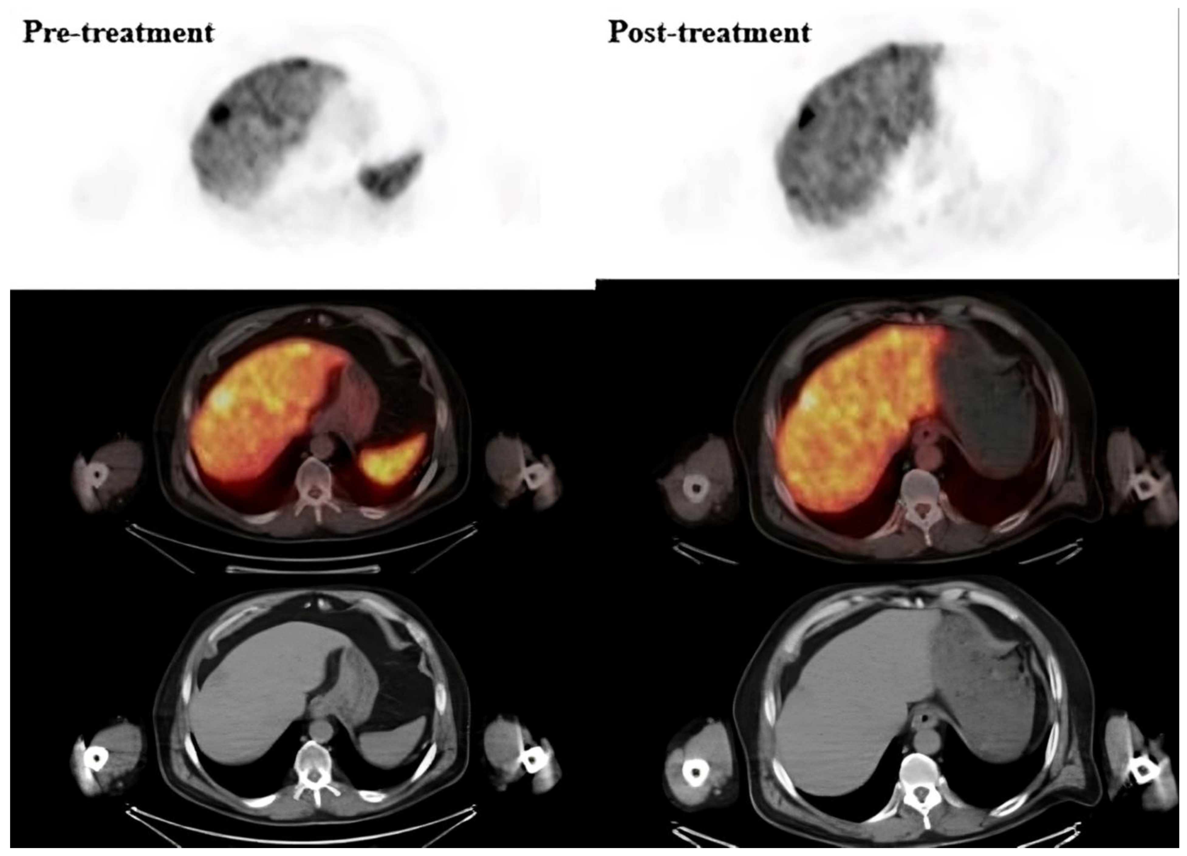 Biomedicines 13 00569 g002
