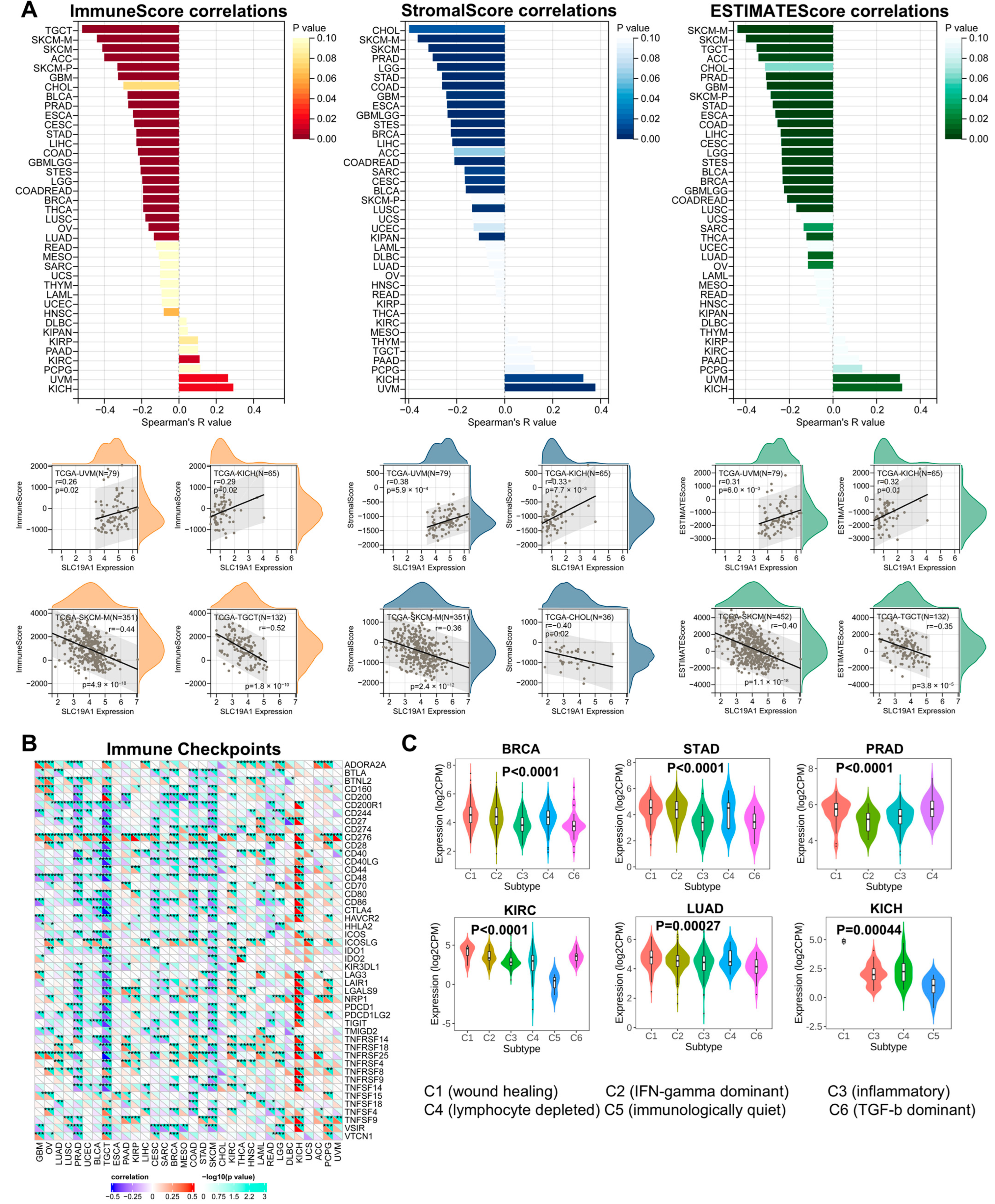 Biomedicines 13 00571 g005