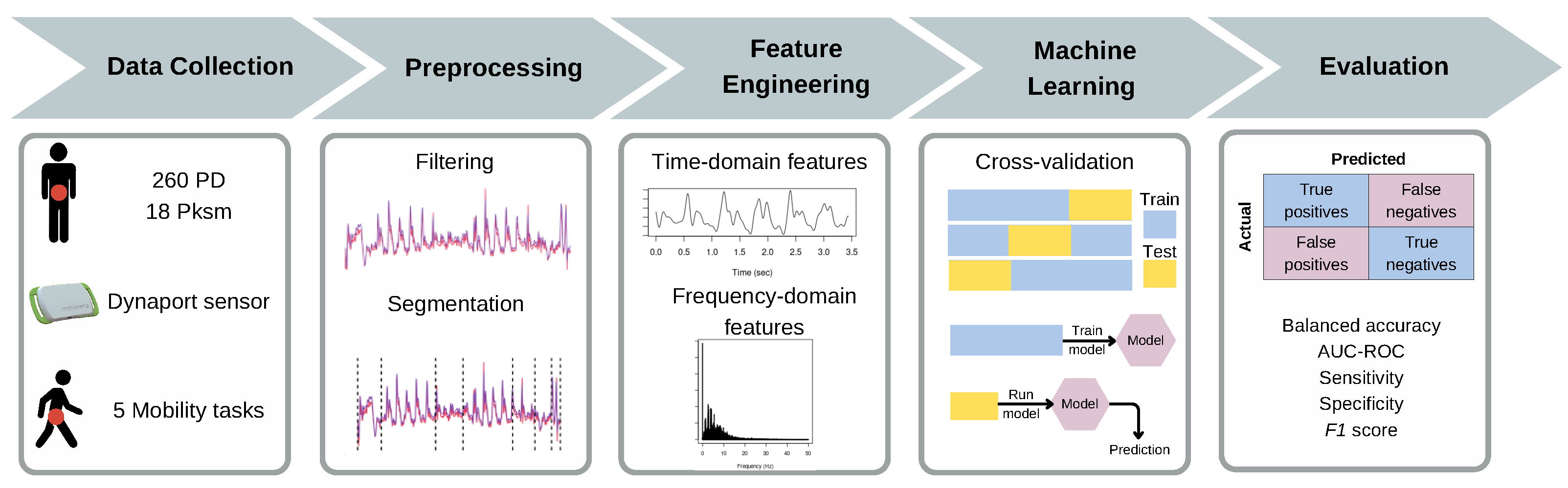 Biomedicines 13 00572 g001
