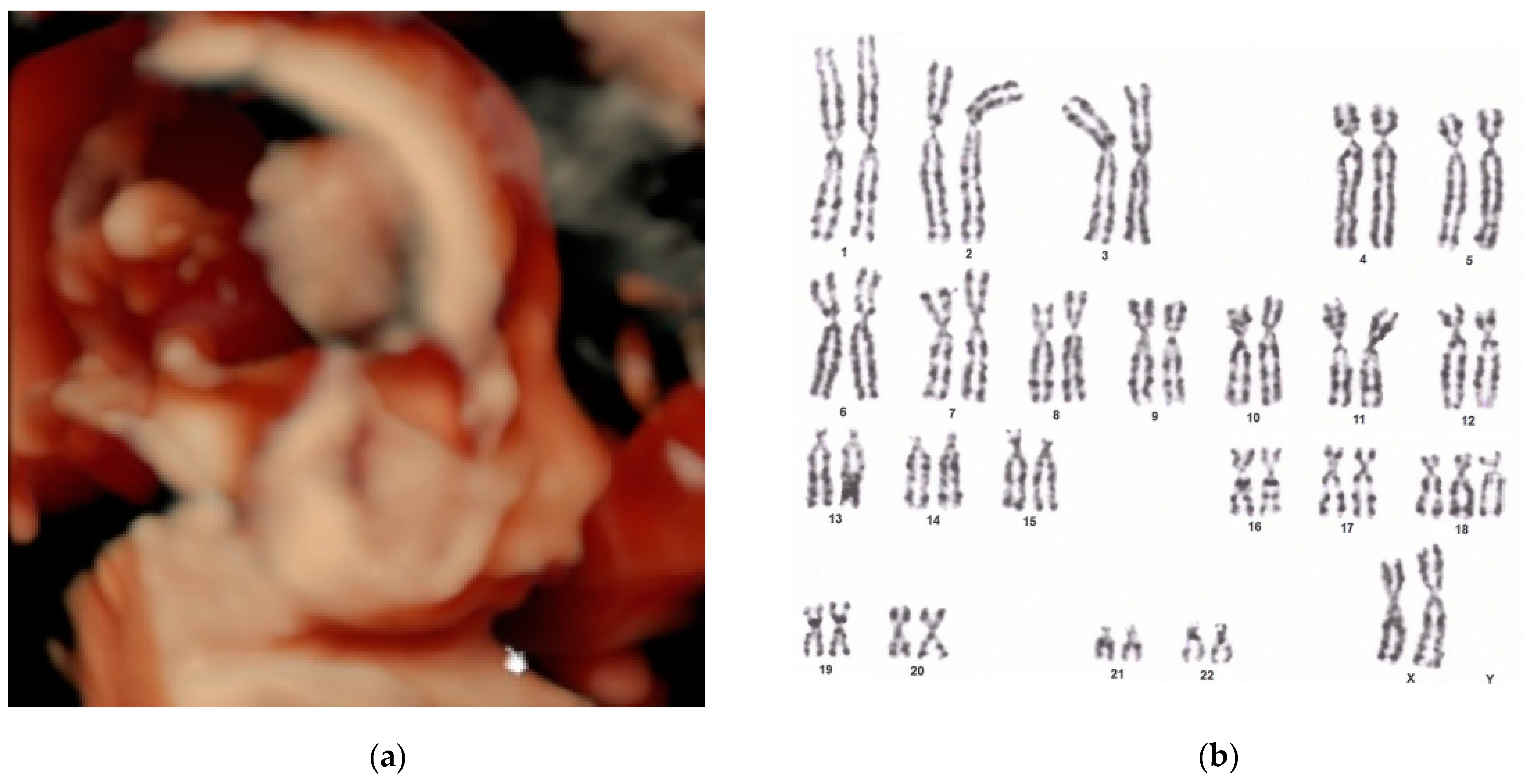 Biomedicines 13 00573 g002