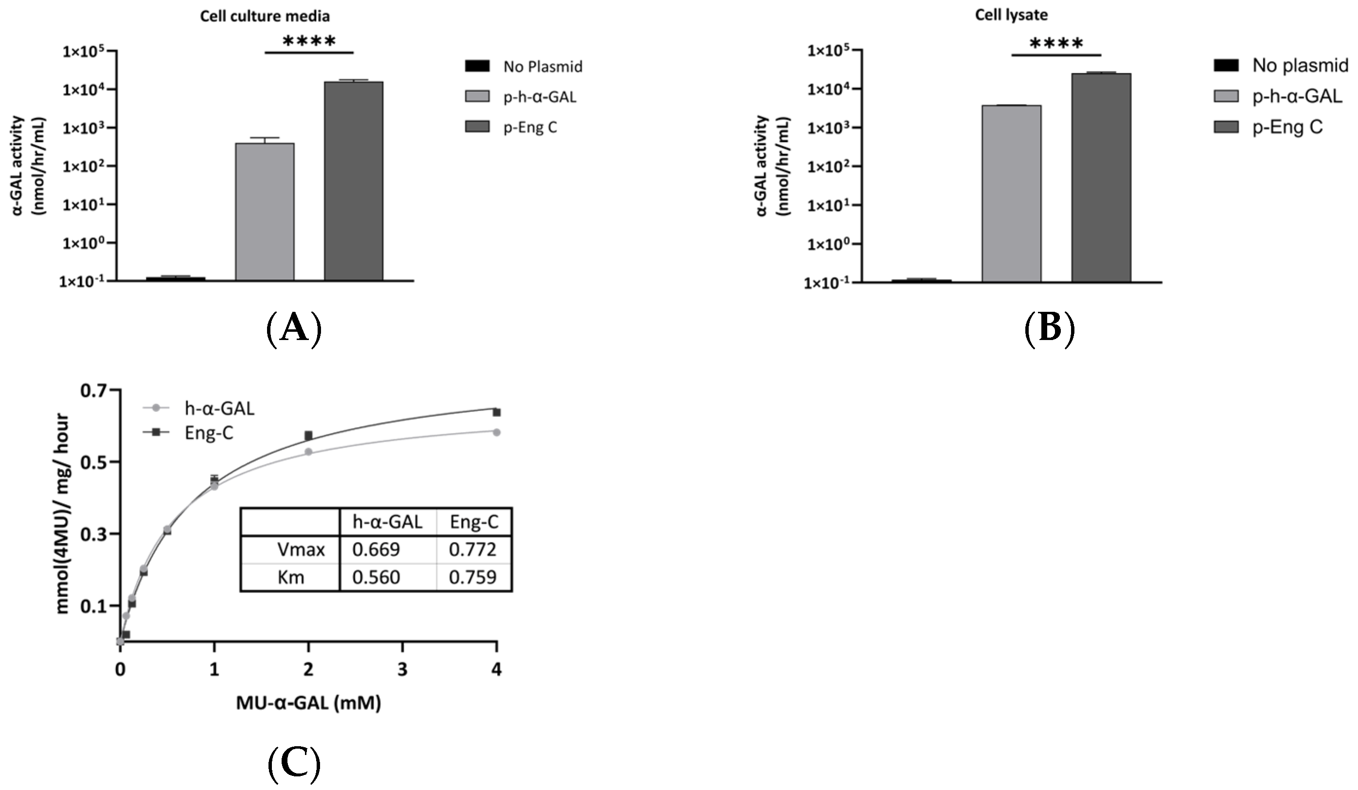 Biomedicines 13 00577 g001