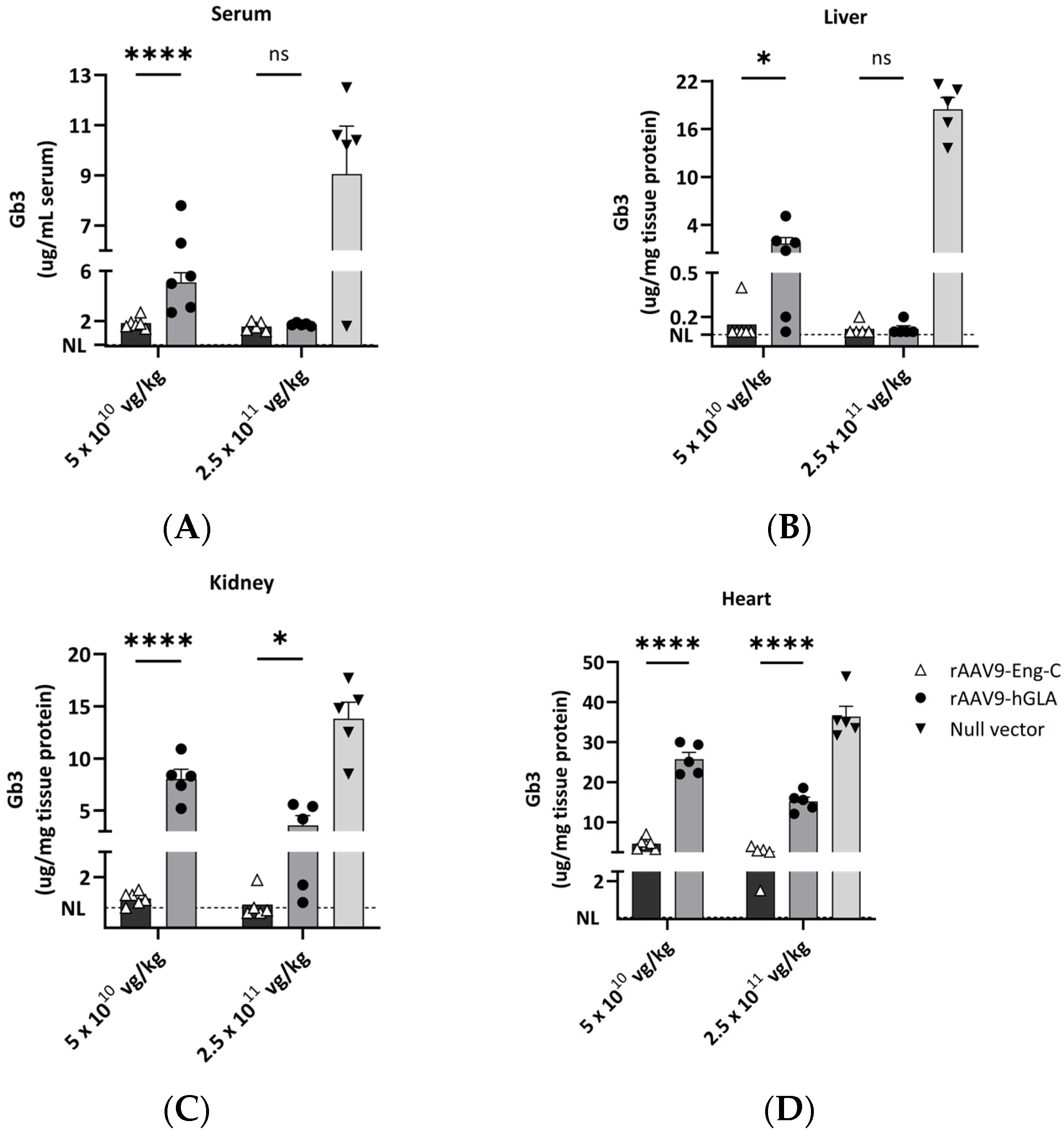 Biomedicines 13 00577 g004