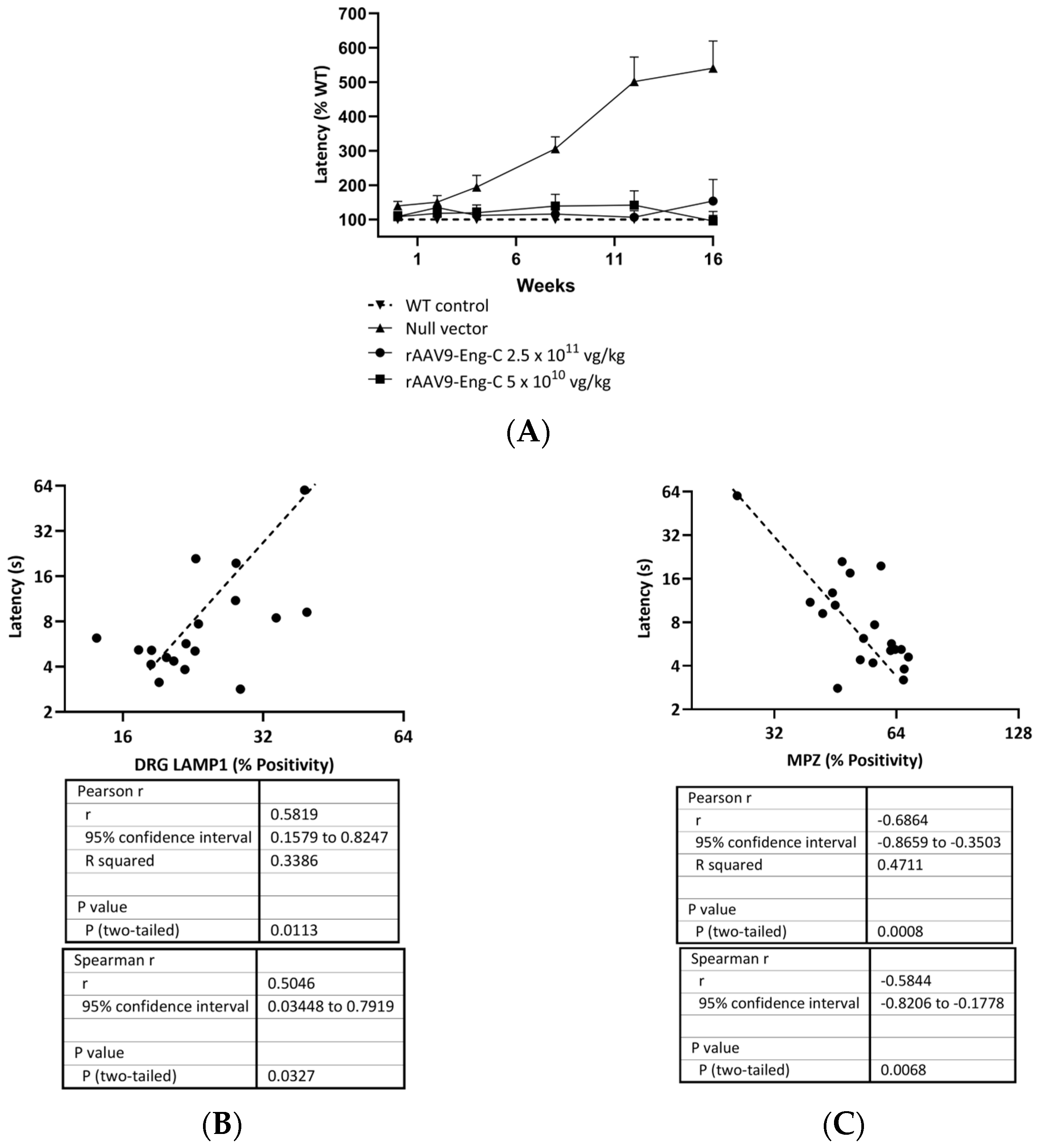 Biomedicines 13 00577 g011