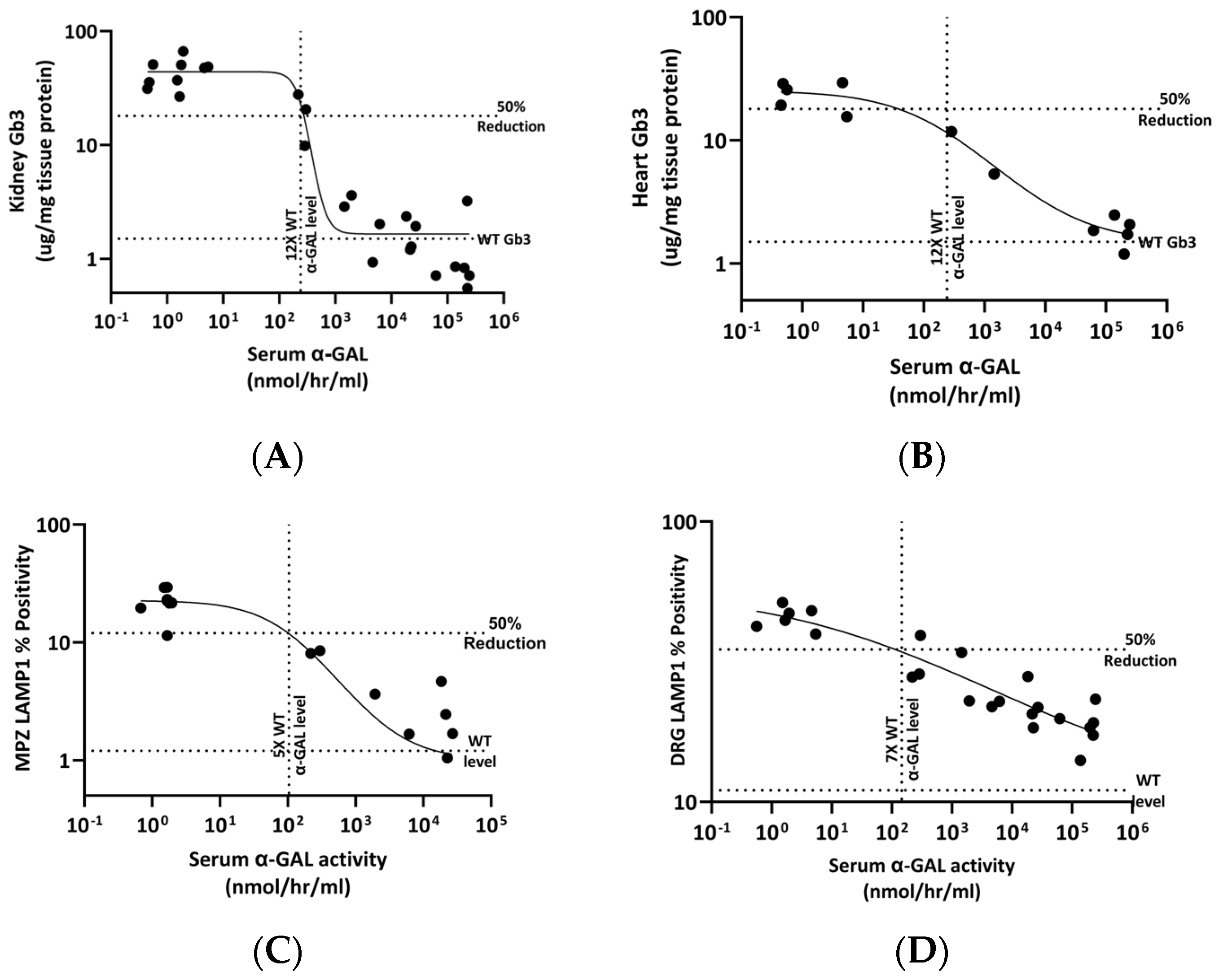 Biomedicines 13 00577 g012