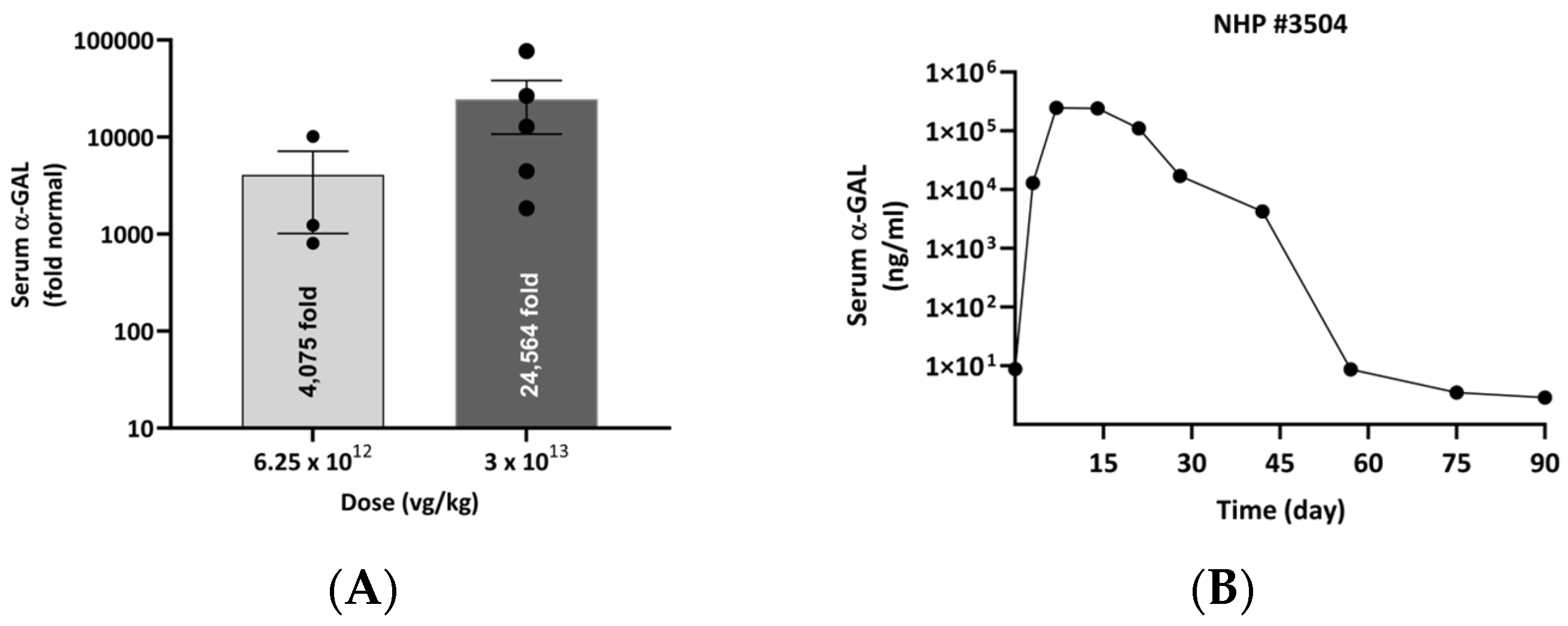Biomedicines 13 00577 g014
