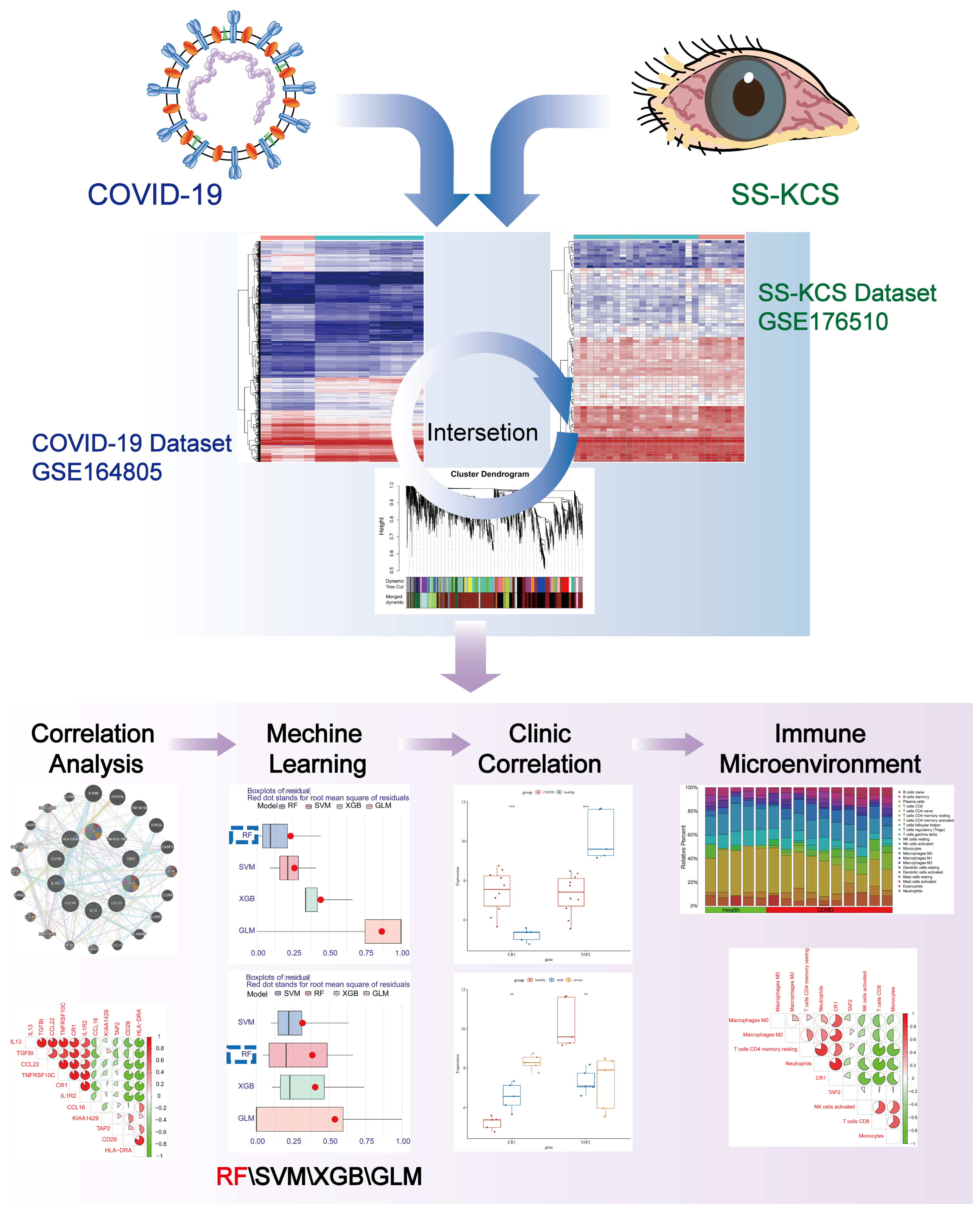 Biomedicines 13 00579 g001