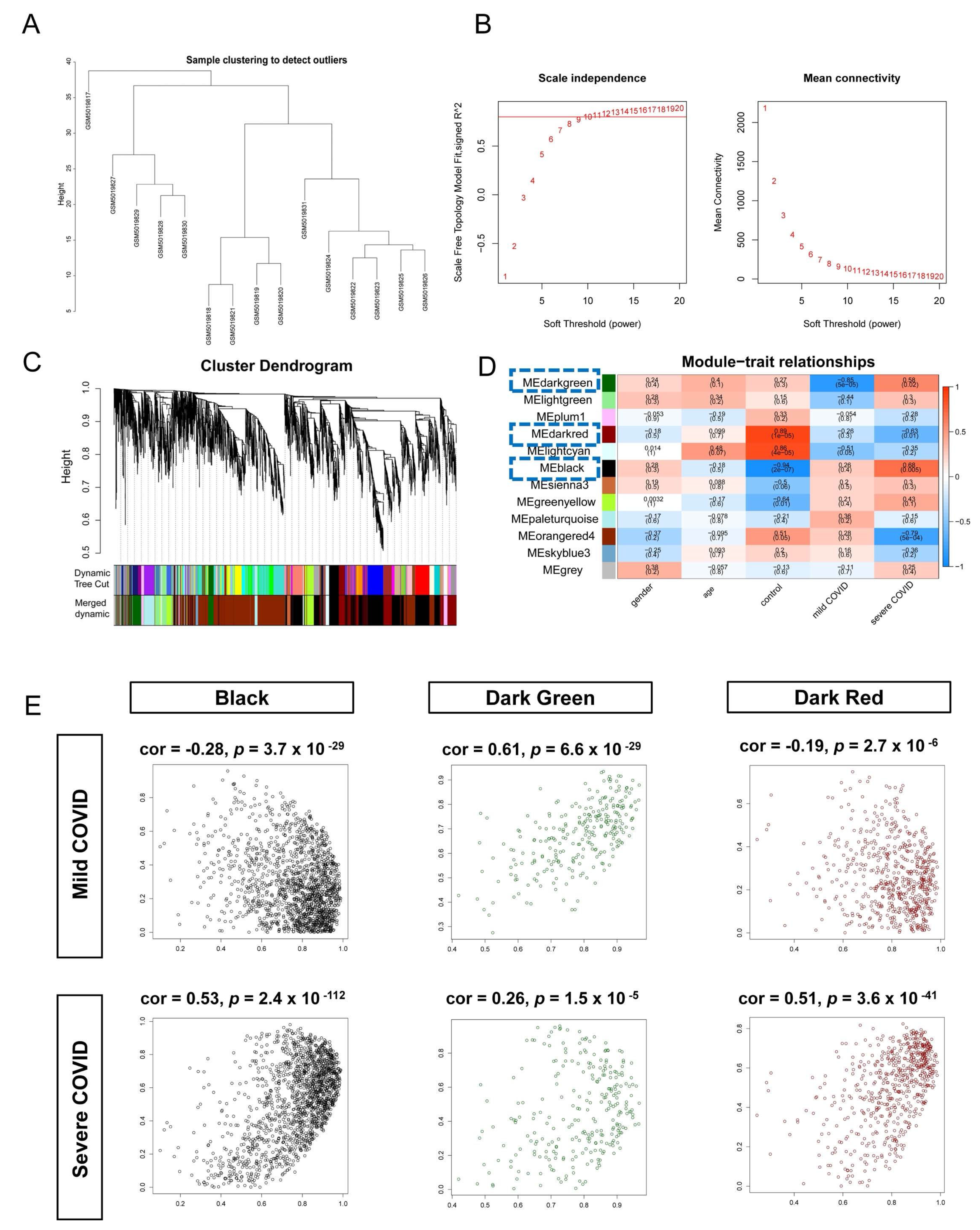 Biomedicines 13 00579 g003
