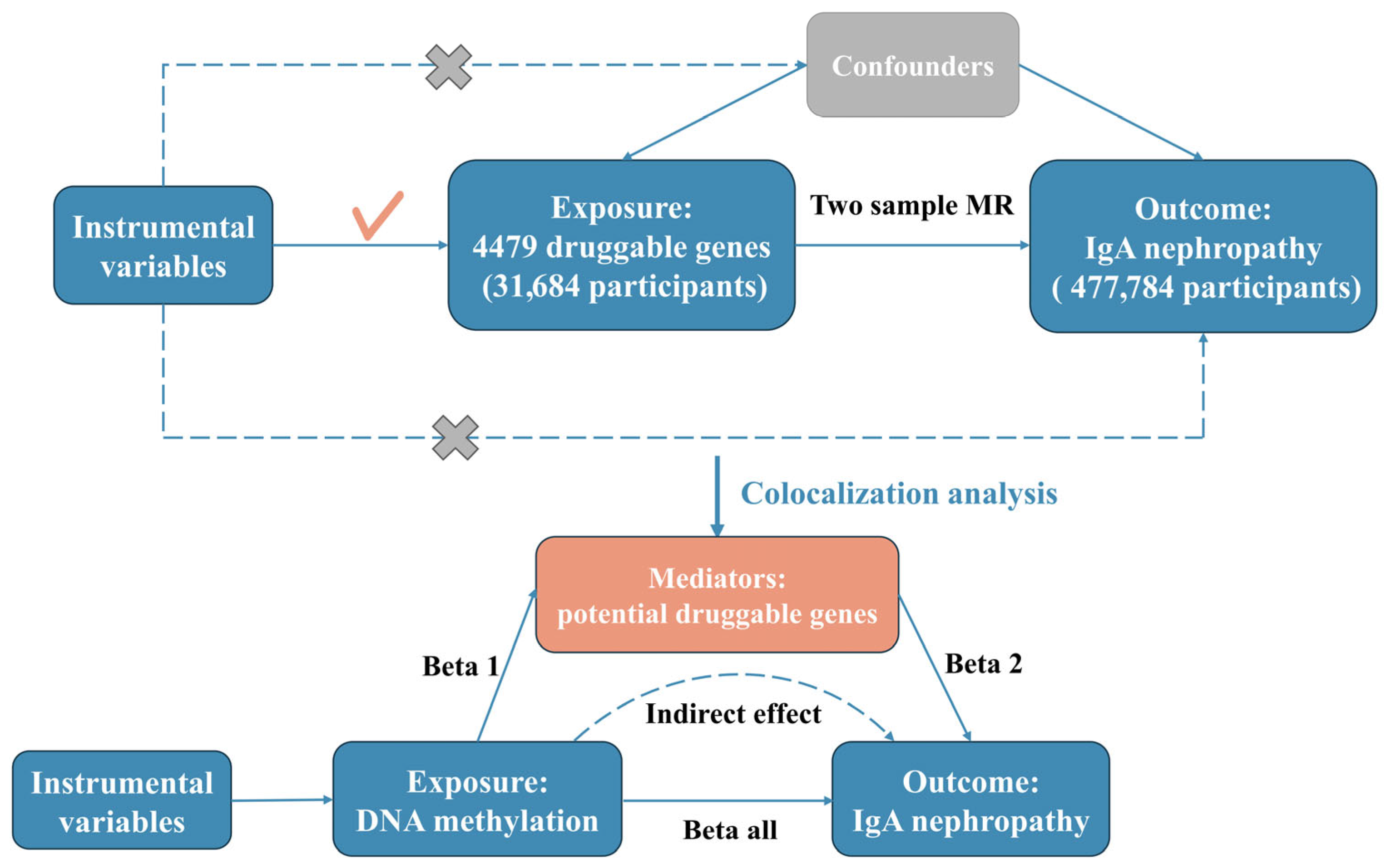 Biomedicines 13 00581 g001