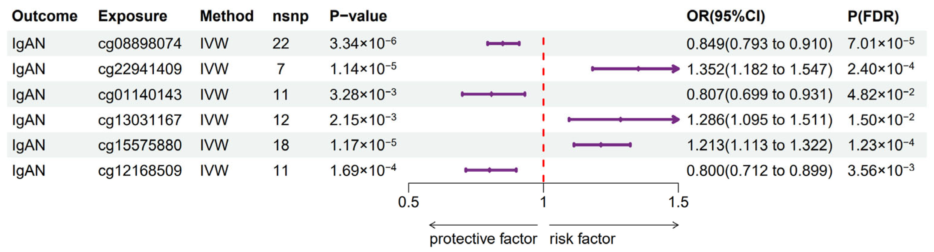 Biomedicines 13 00581 g006