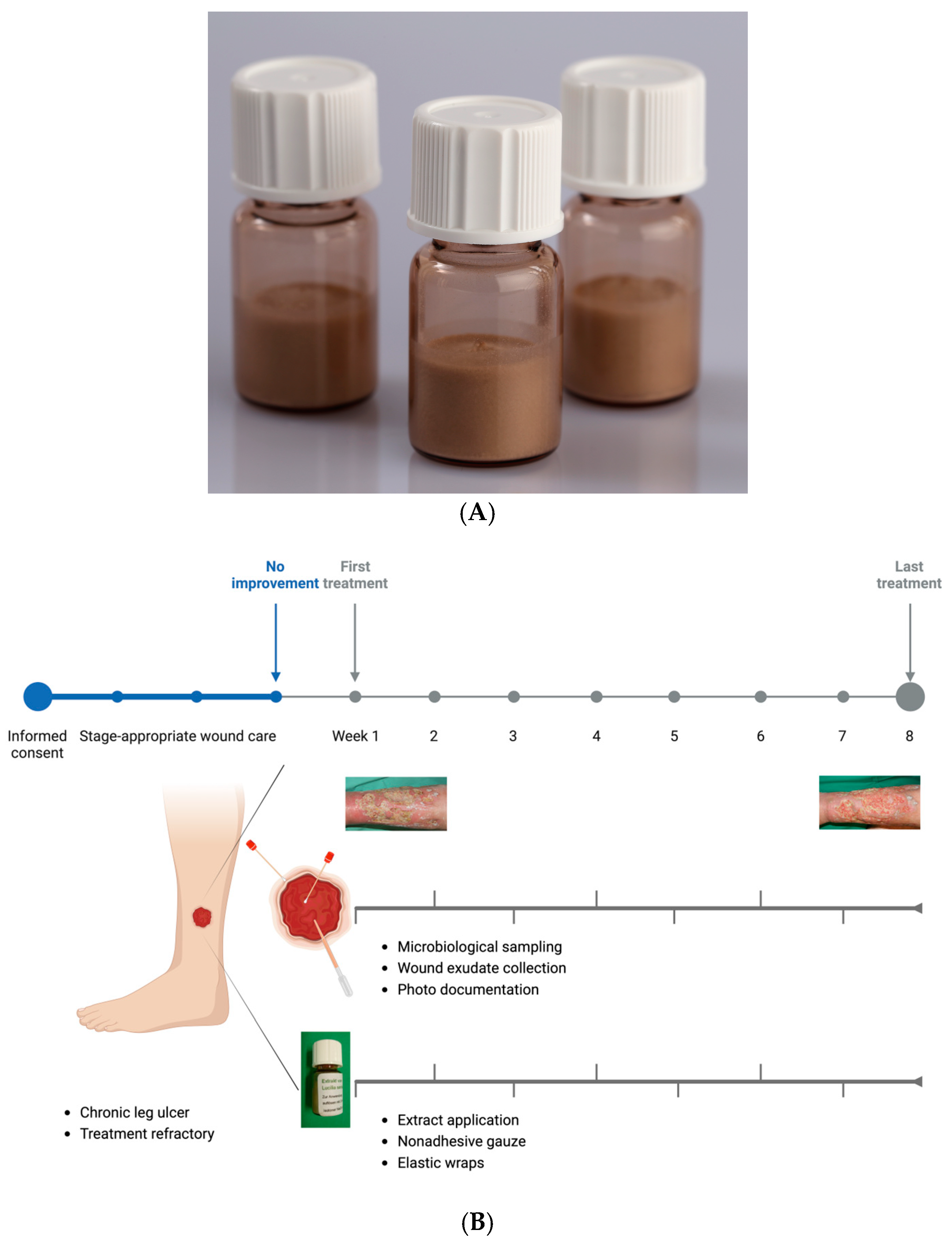 Biomedicines 13 00582 g001