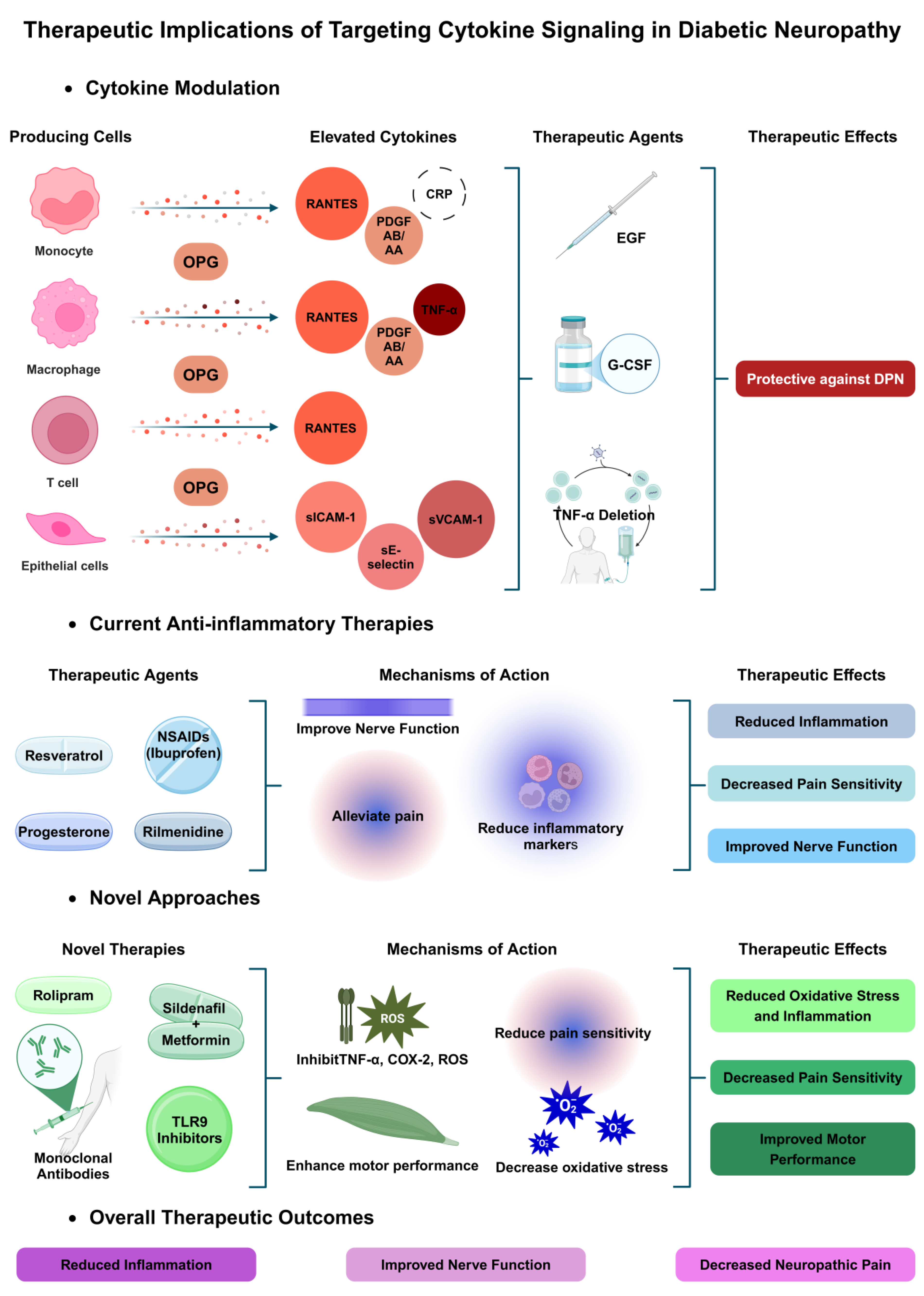 Biomedicines 13 00589 g003 Biomedicines 13 00589 g003