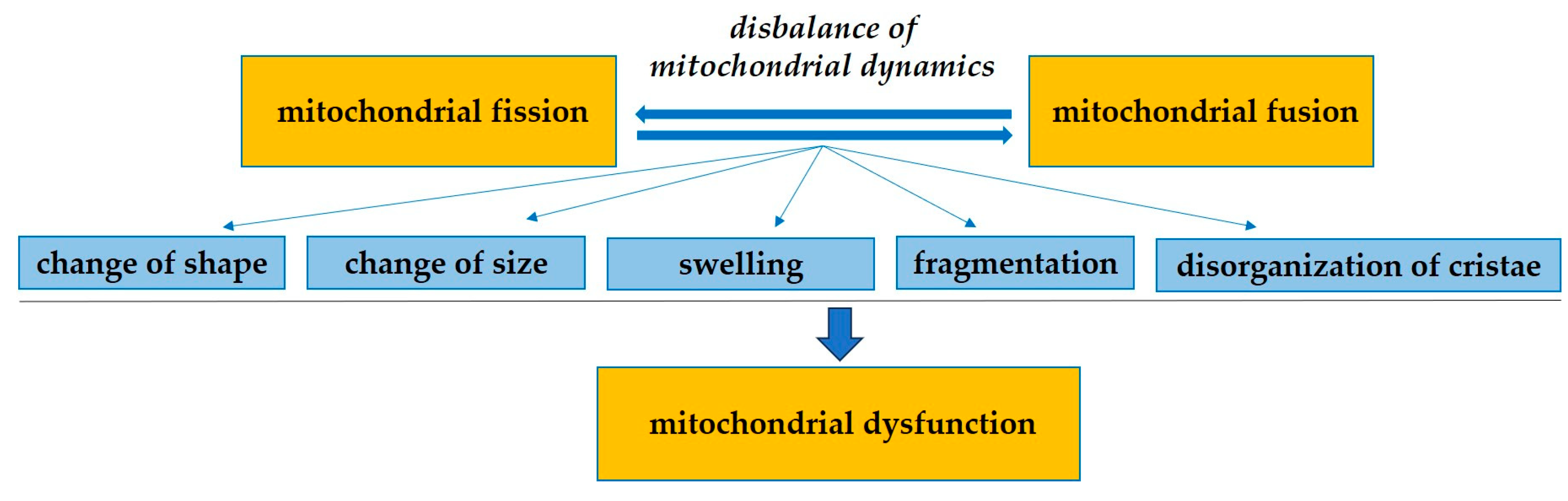 Biomedicines 13 00591 g001