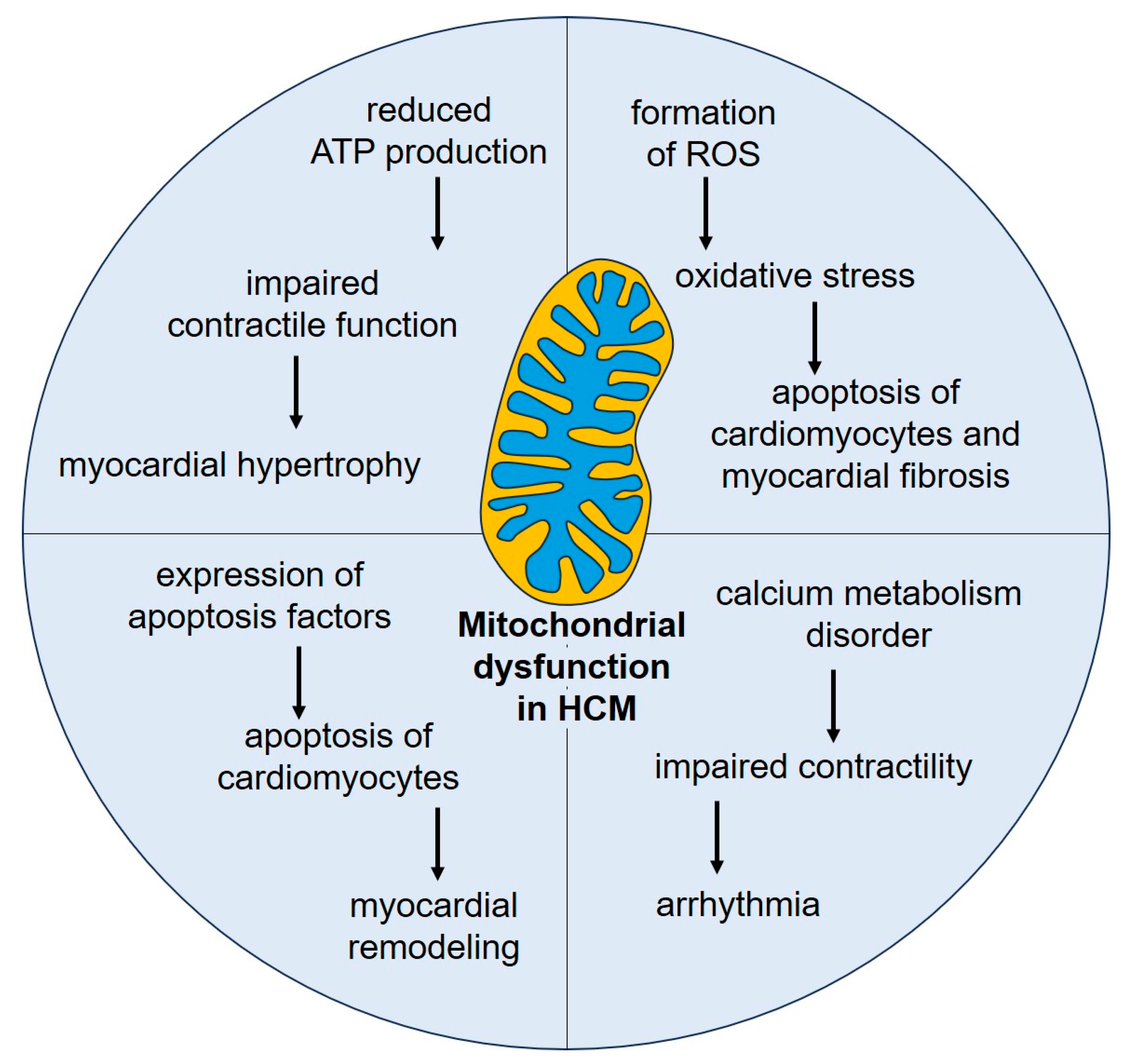 Biomedicines 13 00591 g003