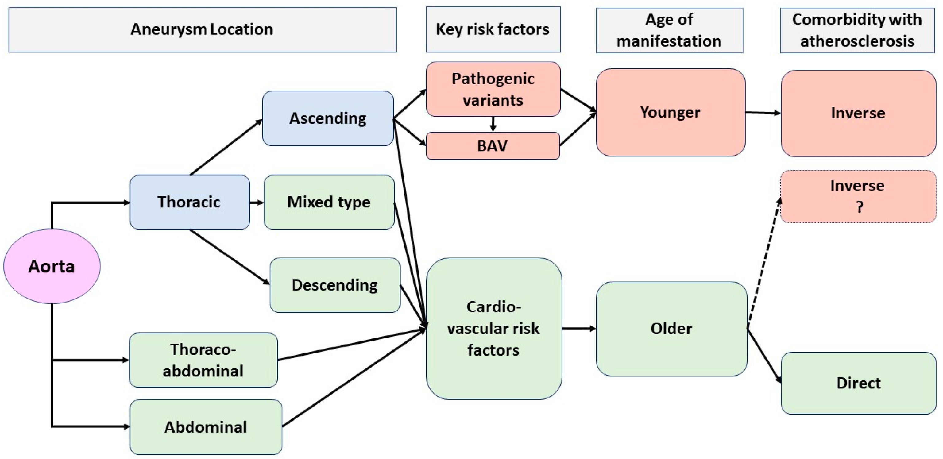 Exploring Disparities in Atherosclerosis Comorbidity with Exploring Disparities in Atherosclerosis Comorbidity with