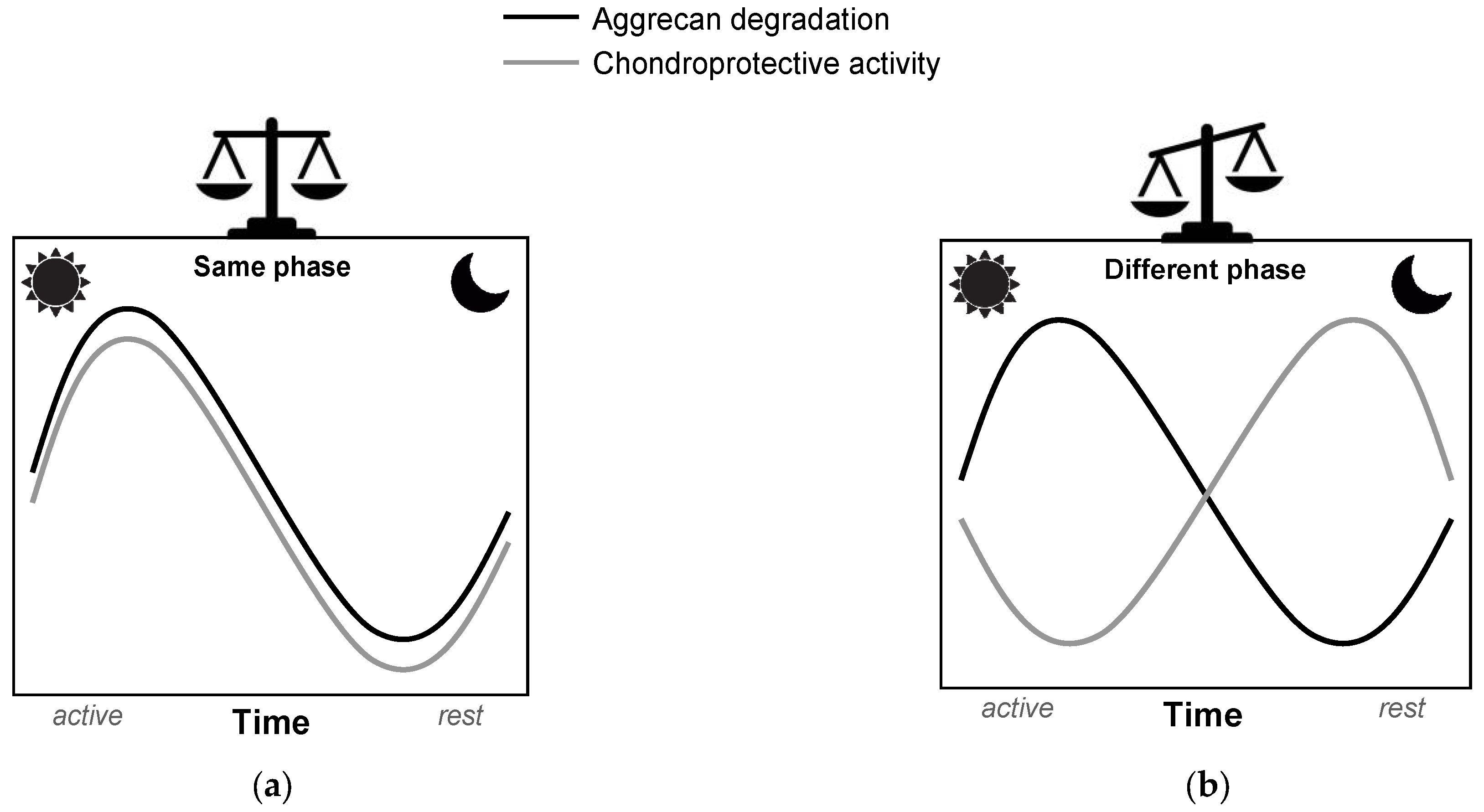 Biomedicines 13 00598 g003