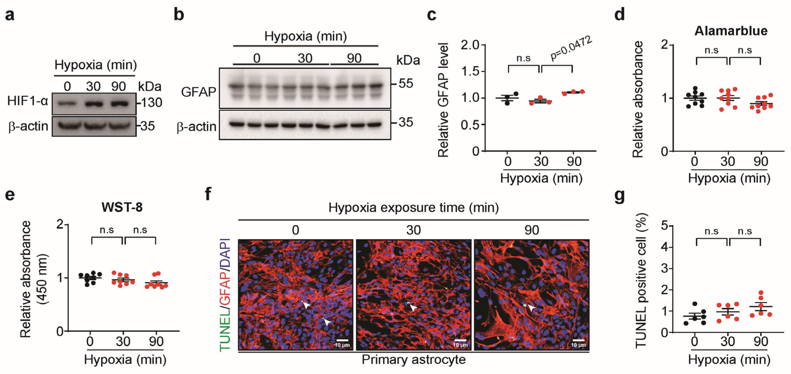 Biomedicines 13 00604 g002