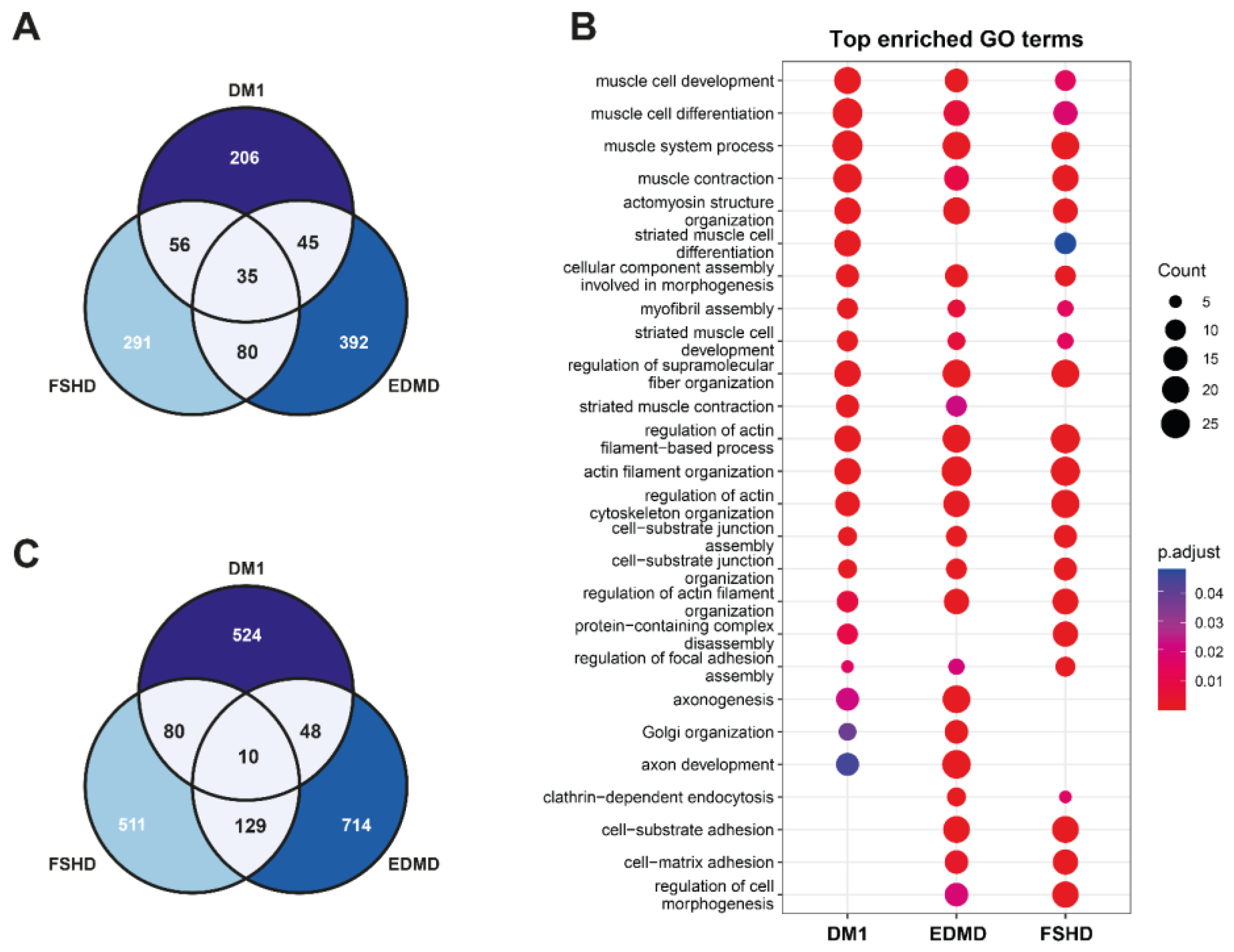 Biomedicines 13 00606 g003