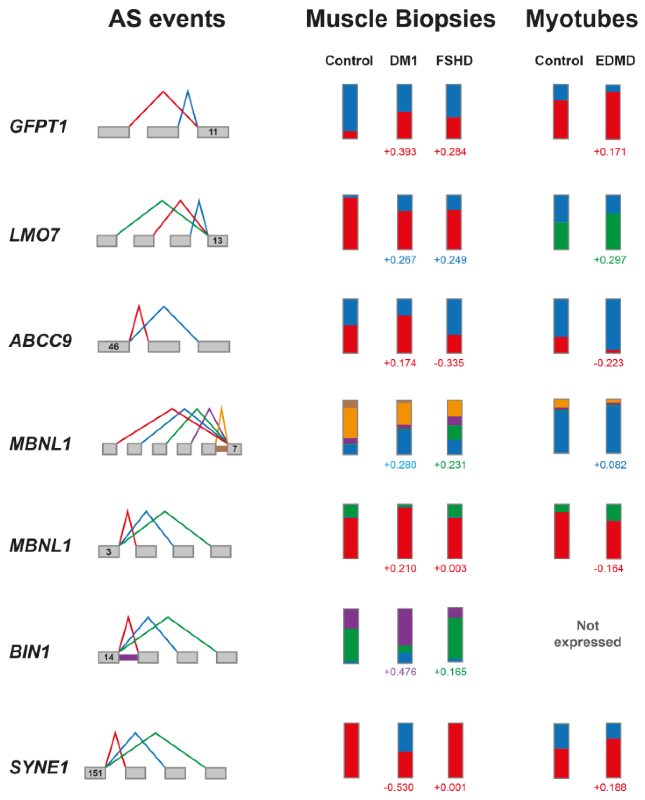 Biomedicines 13 00606 g004