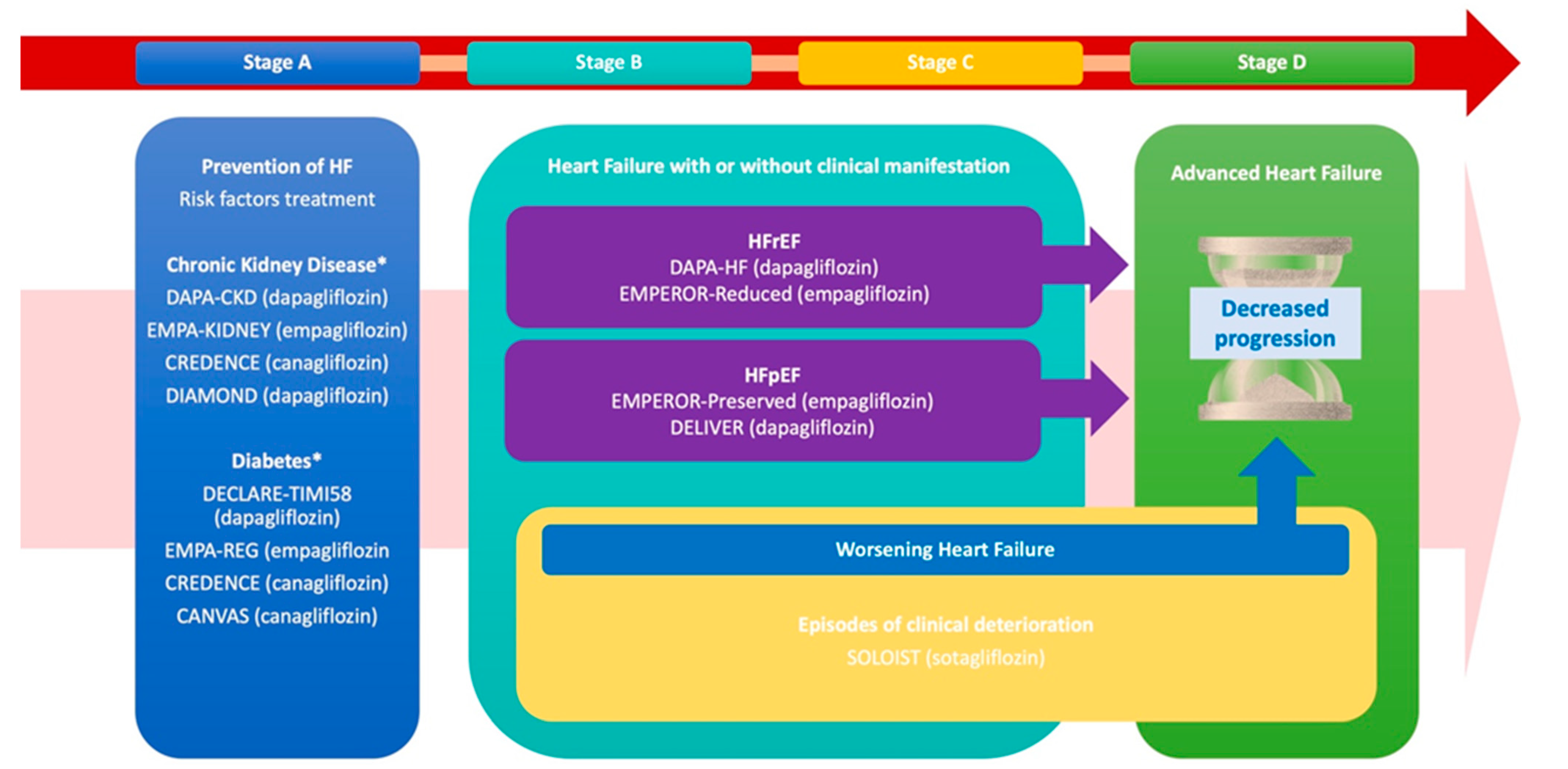 Biomedicines 13 00608 g001