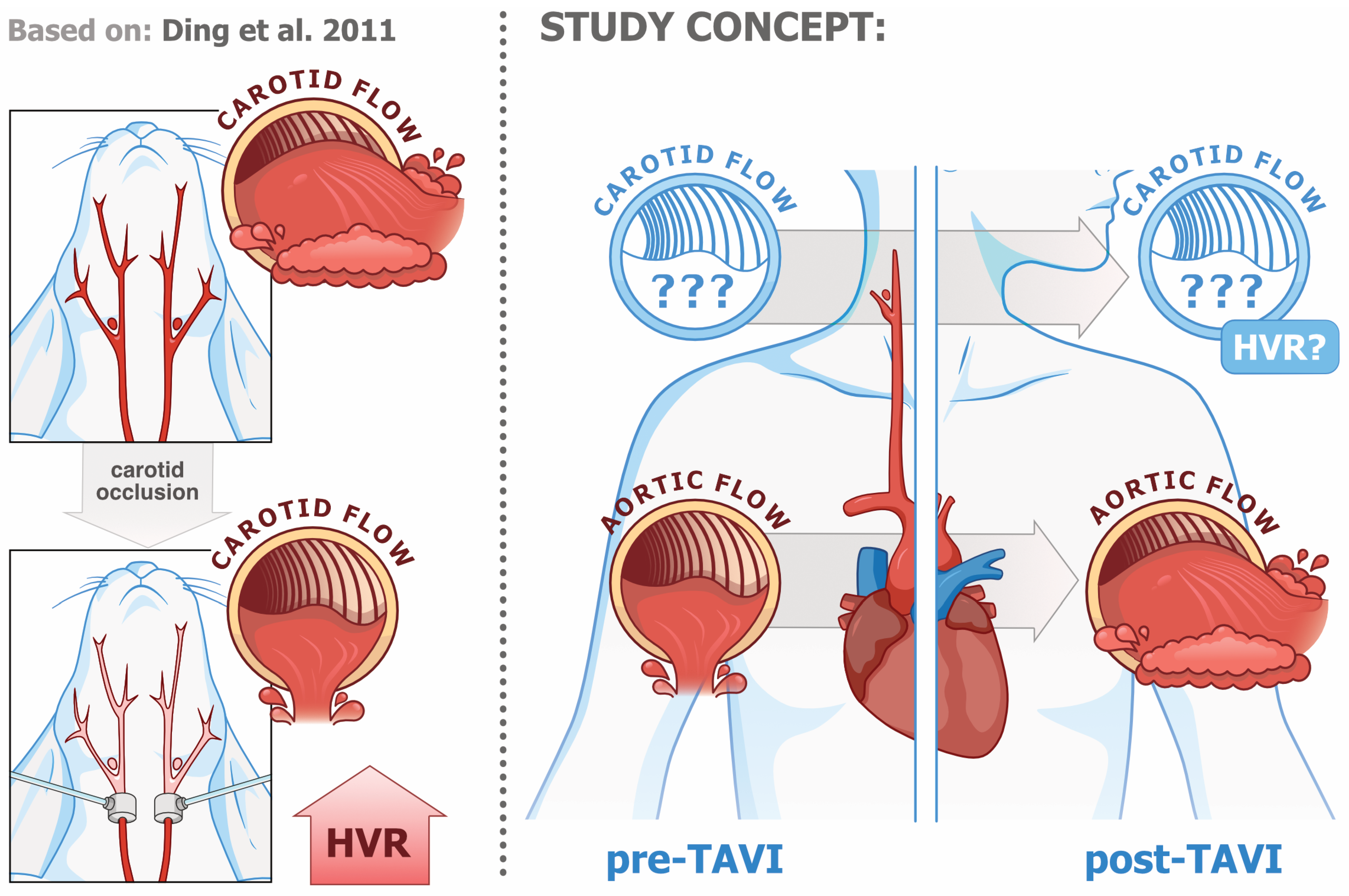 Biomedicines 13 00611 g001