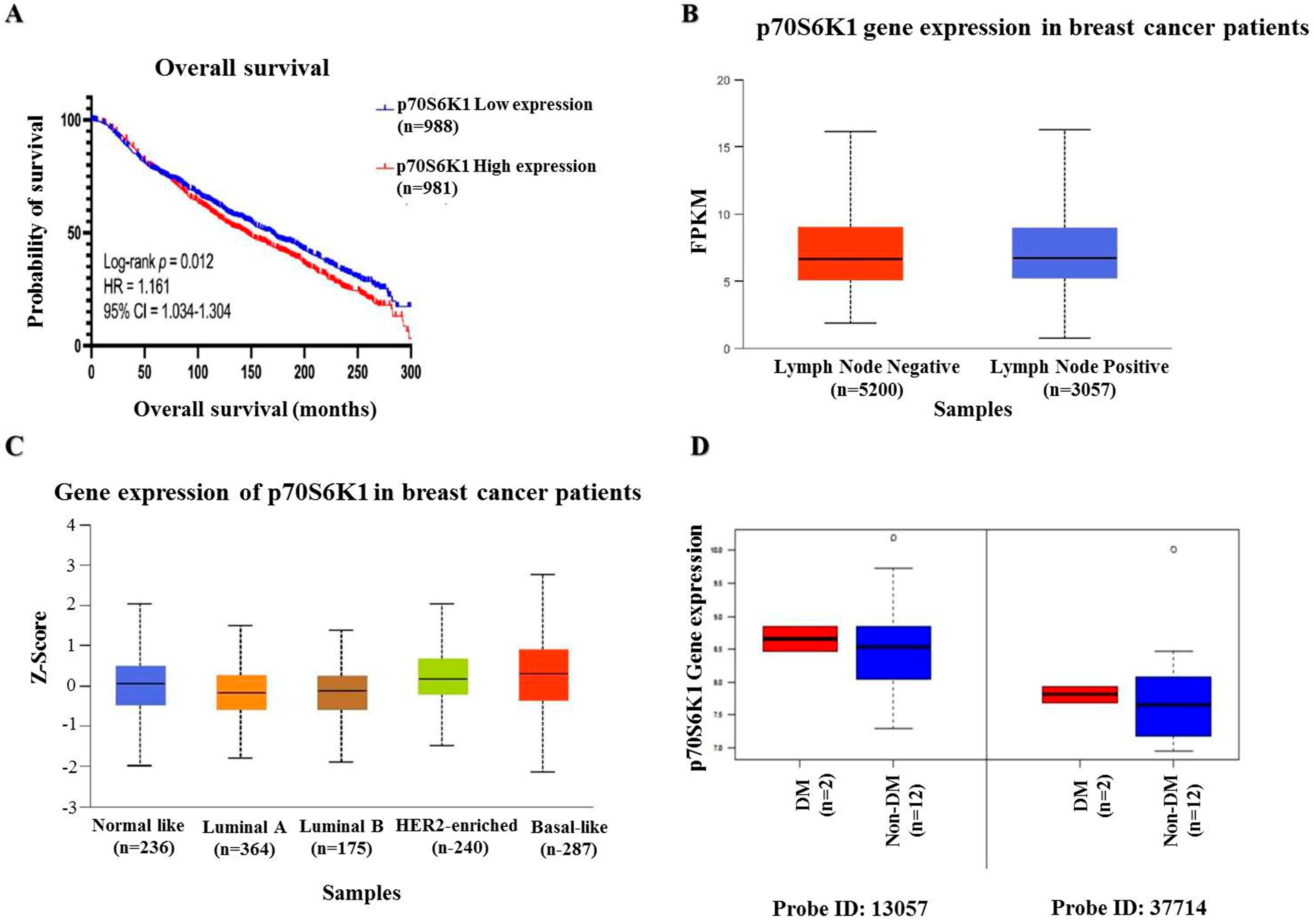 Biomedicines 13 00612 g001