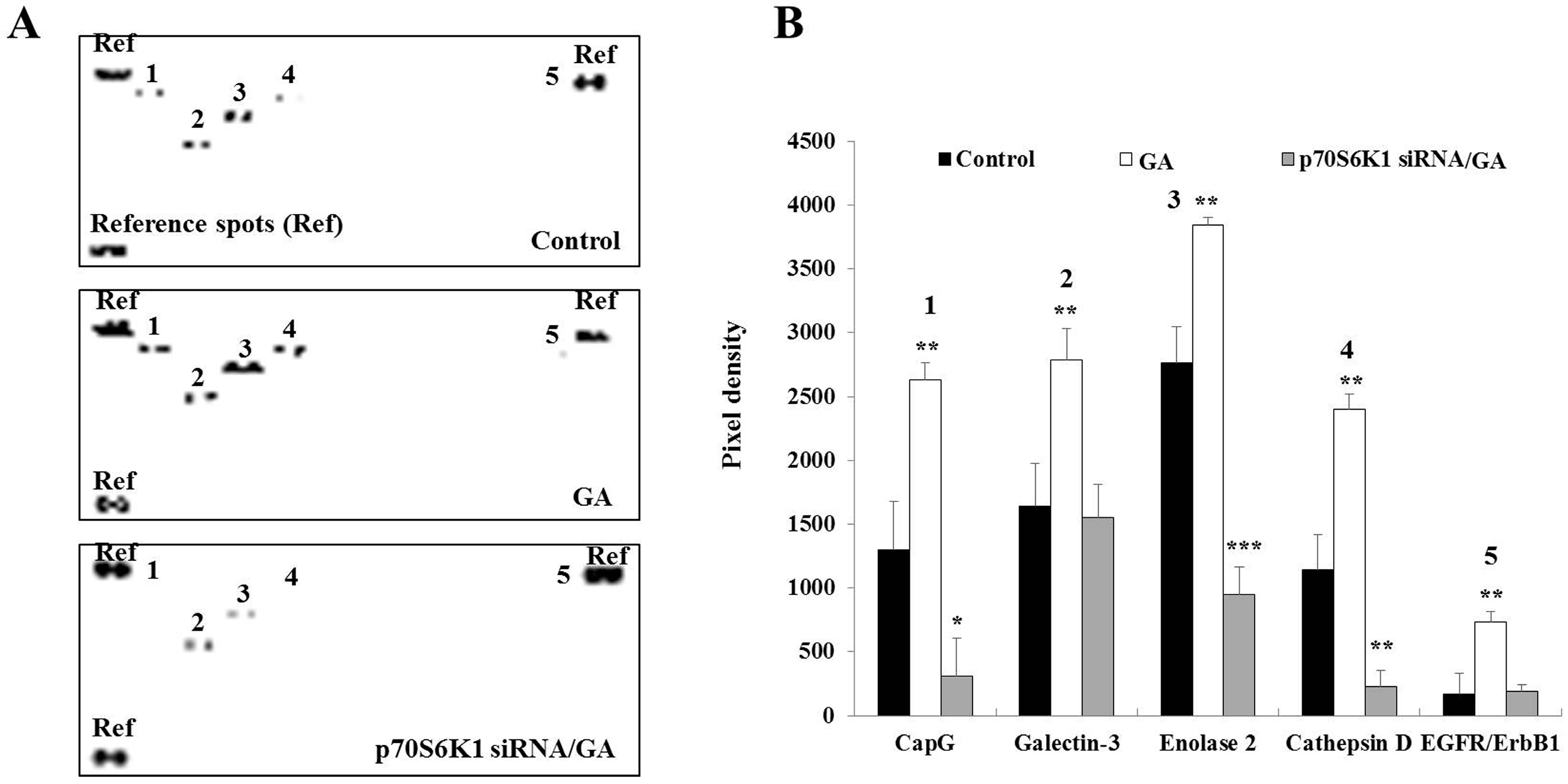 Biomedicines 13 00612 g004