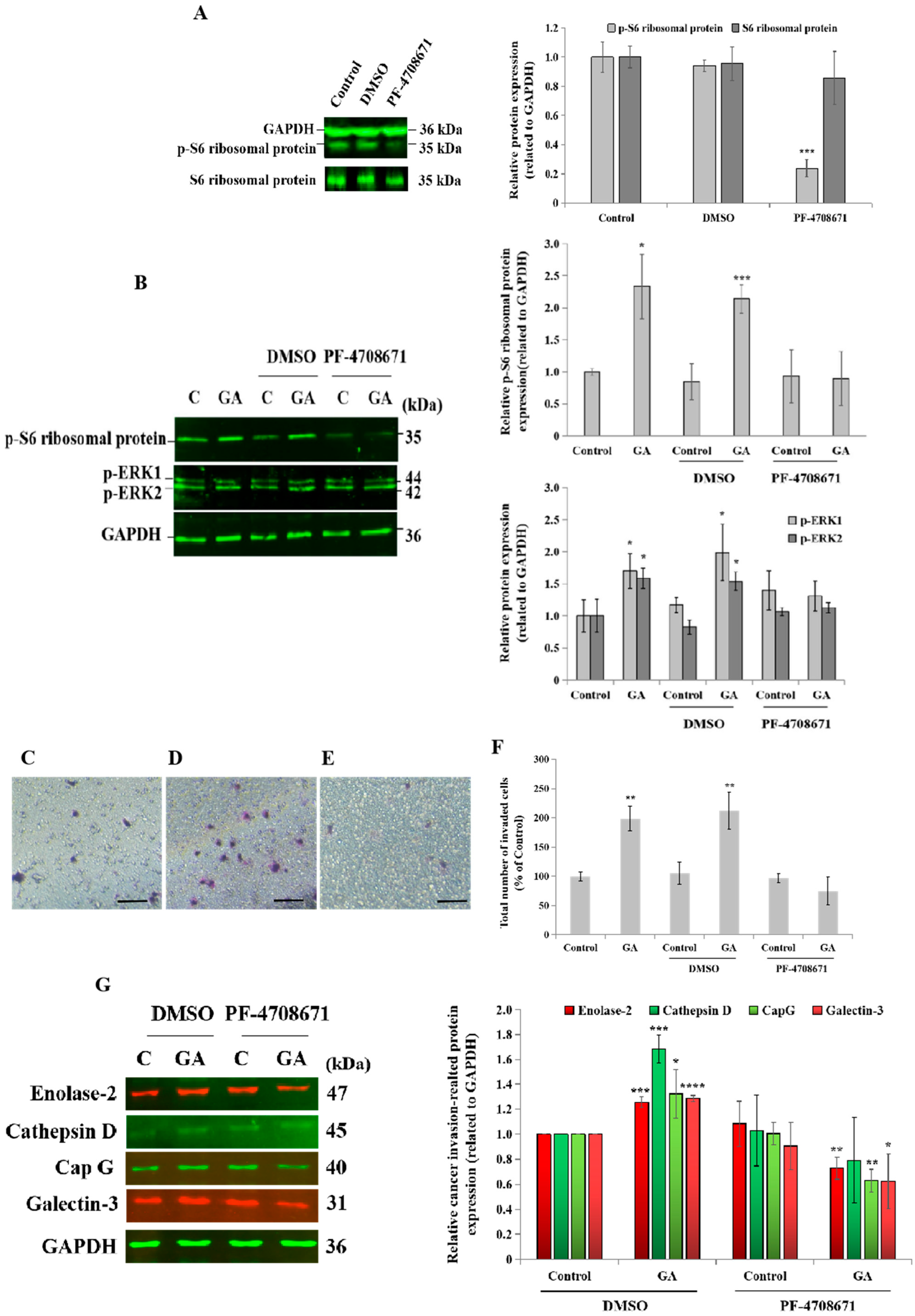 Biomedicines 13 00612 g005