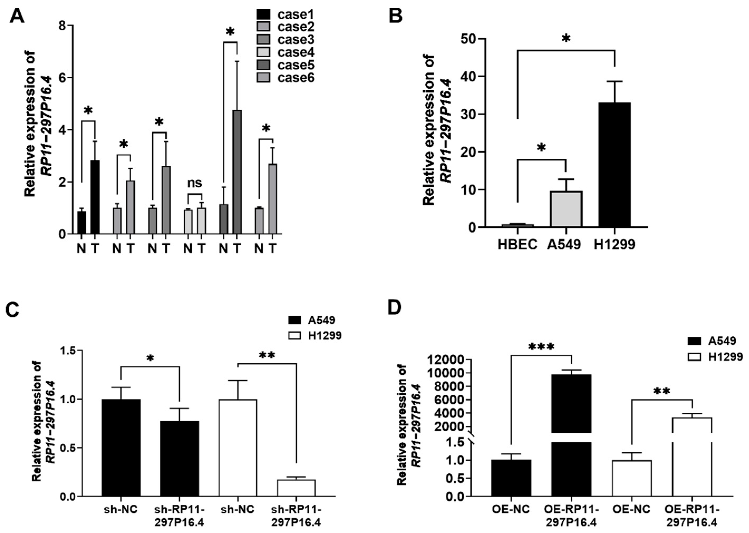 Biomedicines 13 00617 g001