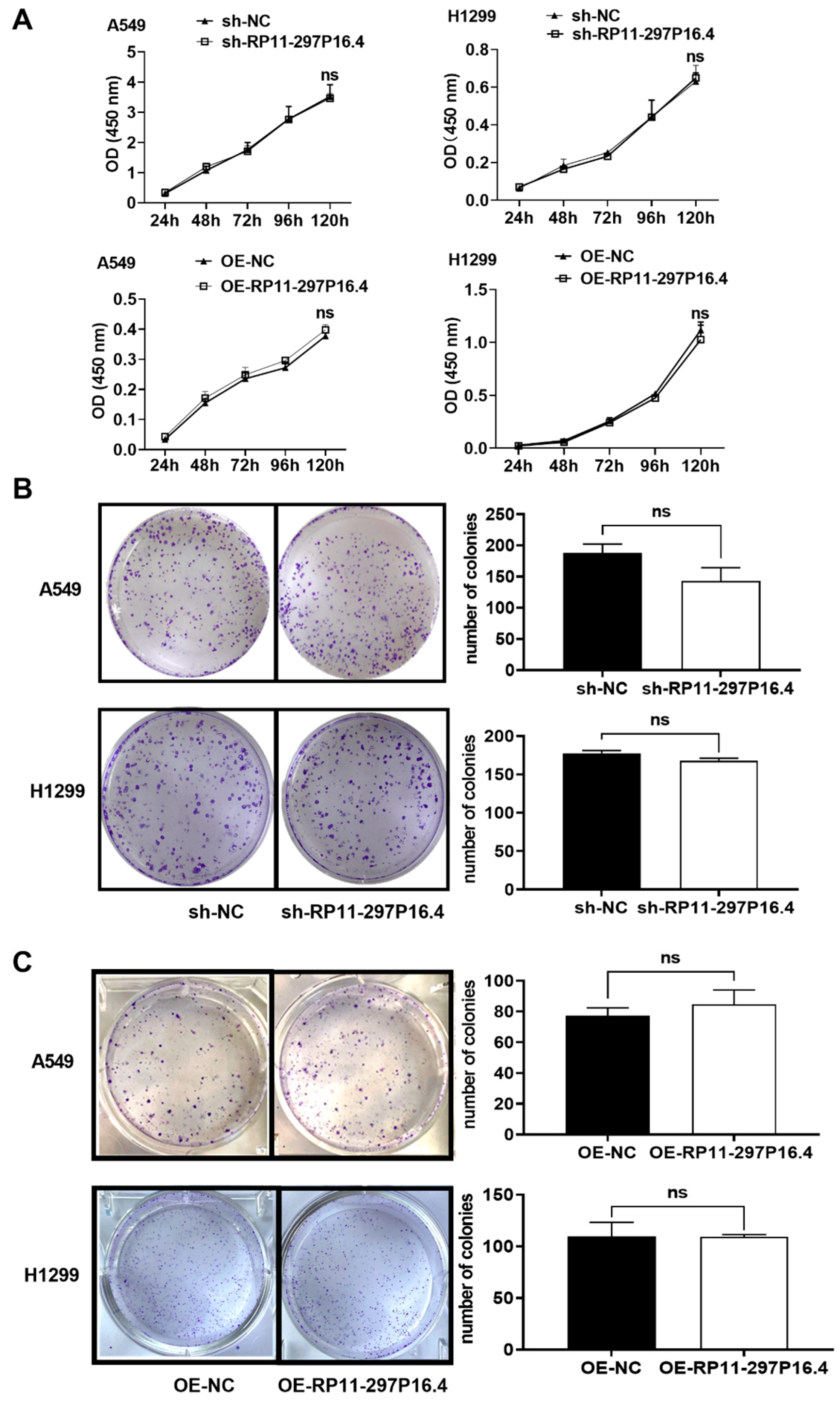 Biomedicines 13 00617 g002