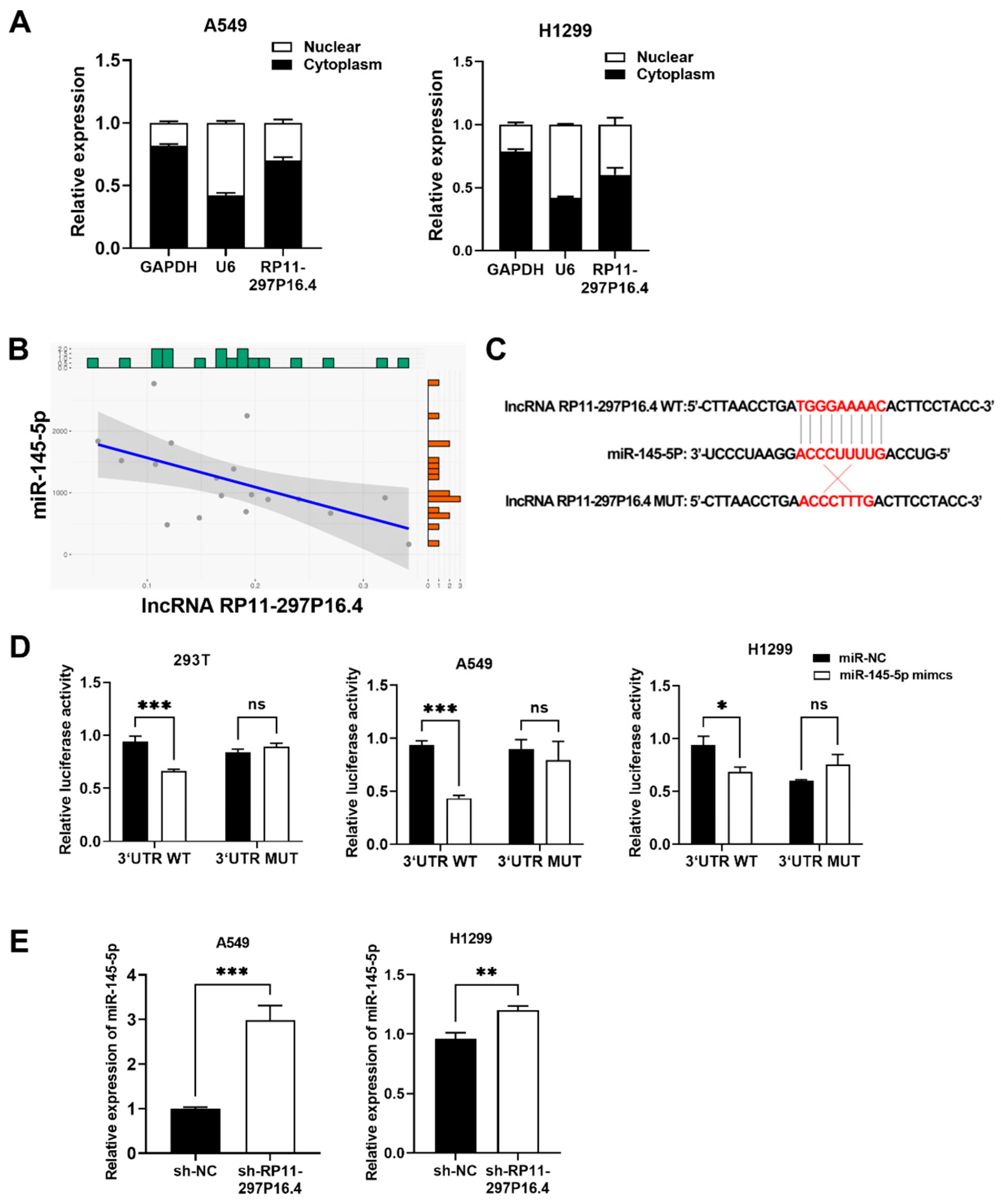 Biomedicines 13 00617 g006