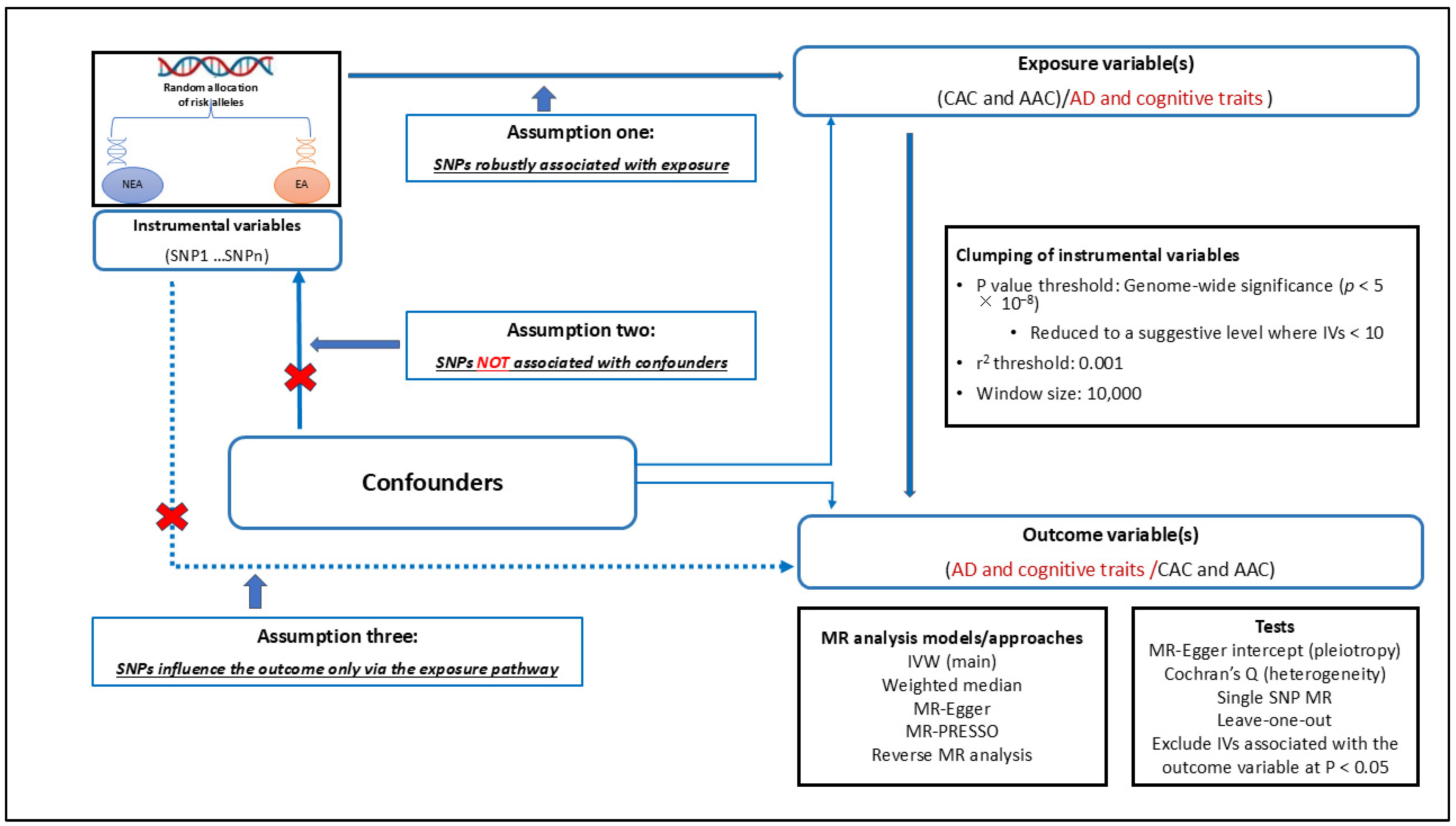 Biomedicines 13 00618 g001