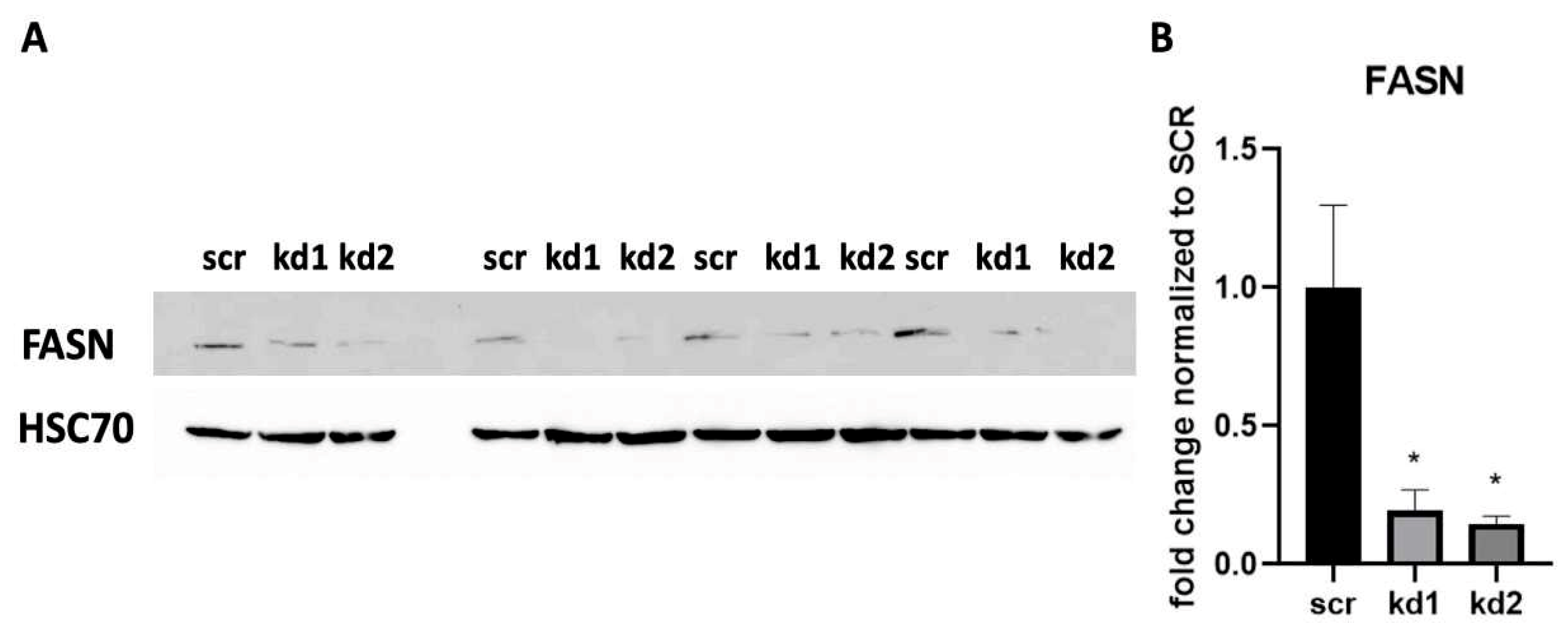 Biomedicines 13 00619 g001