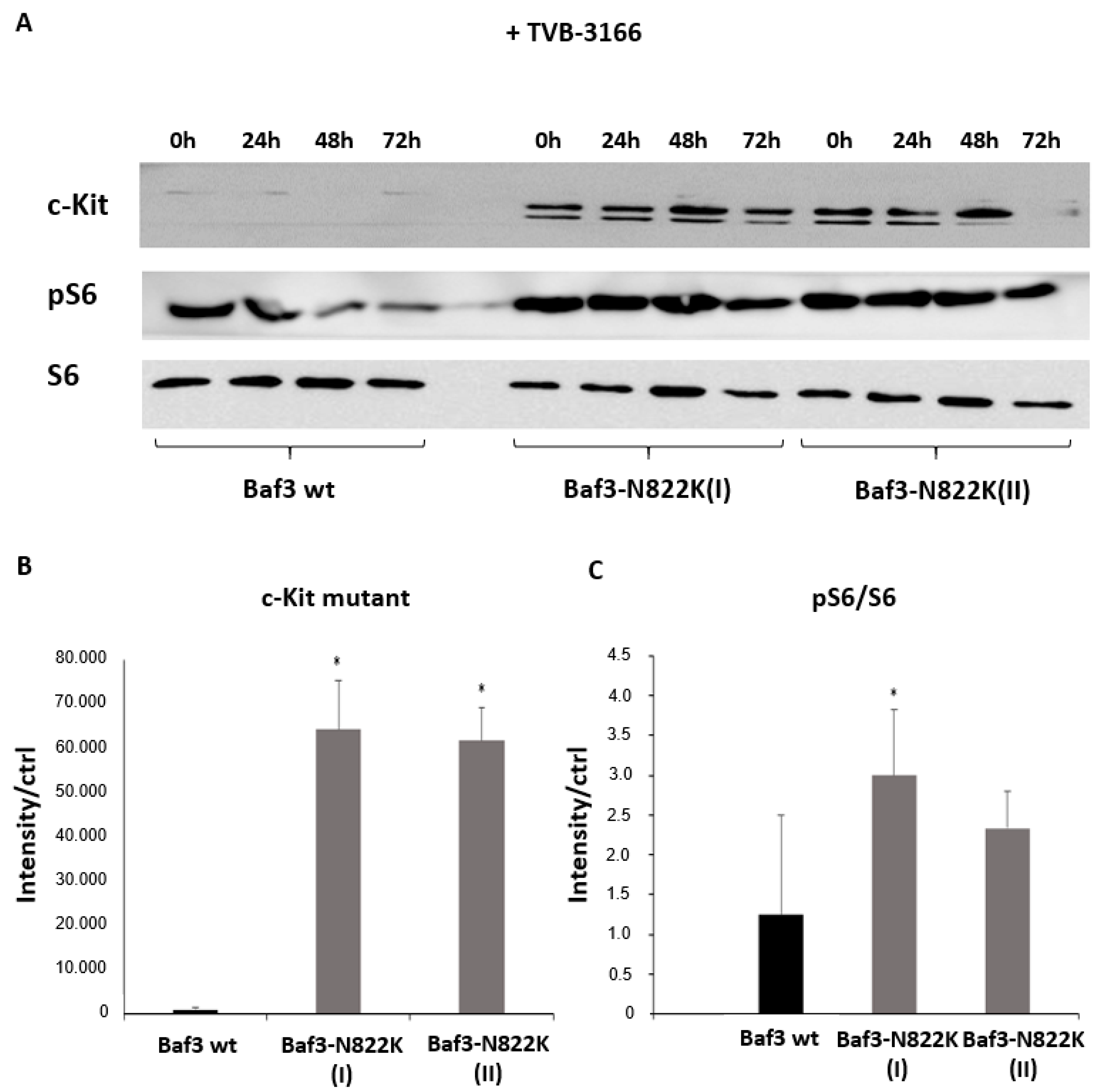 Biomedicines 13 00619 g005