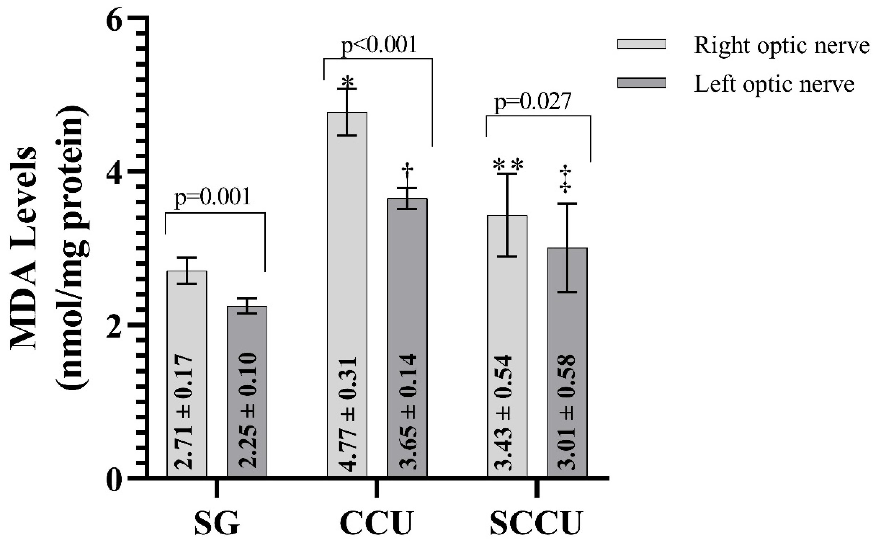 Biomedicines 13 00620 g001
