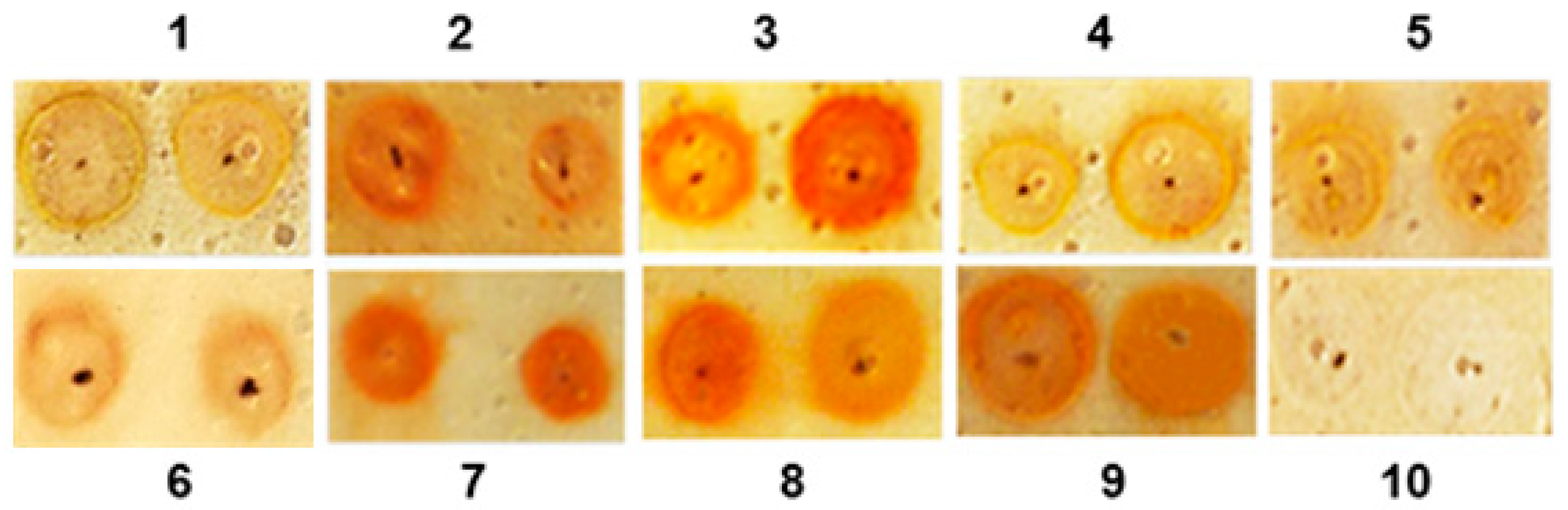 Biomedicines 13 00623 g002