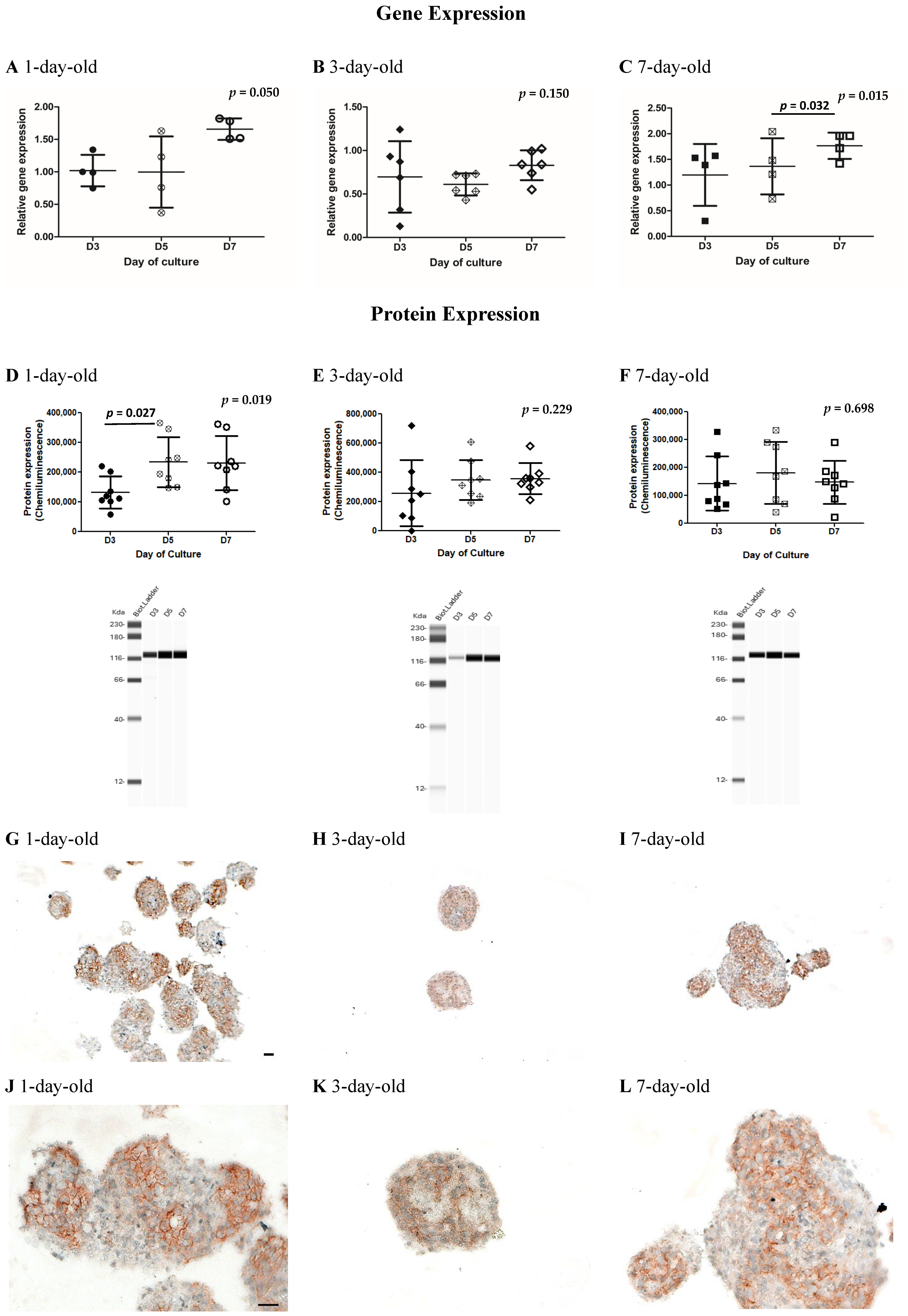 Biomedicines 13 00627 g002
