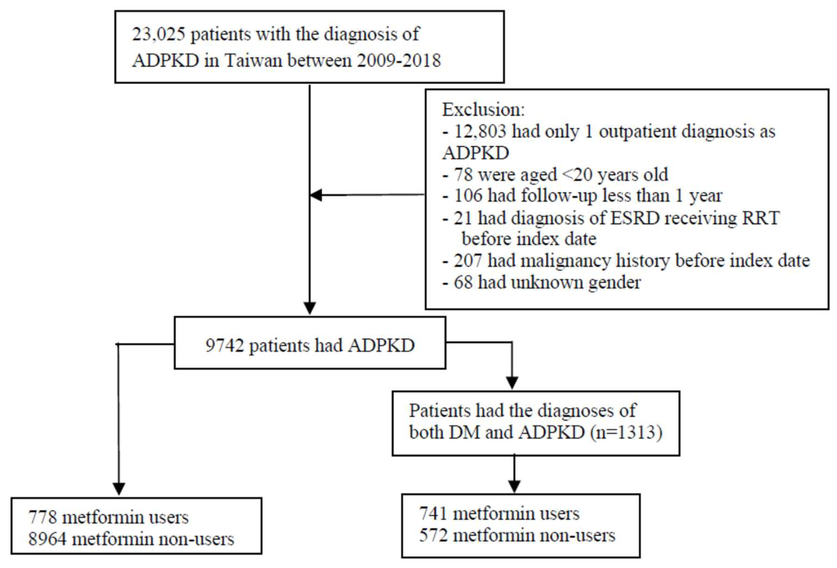 Biomedicines 13 00635 g001