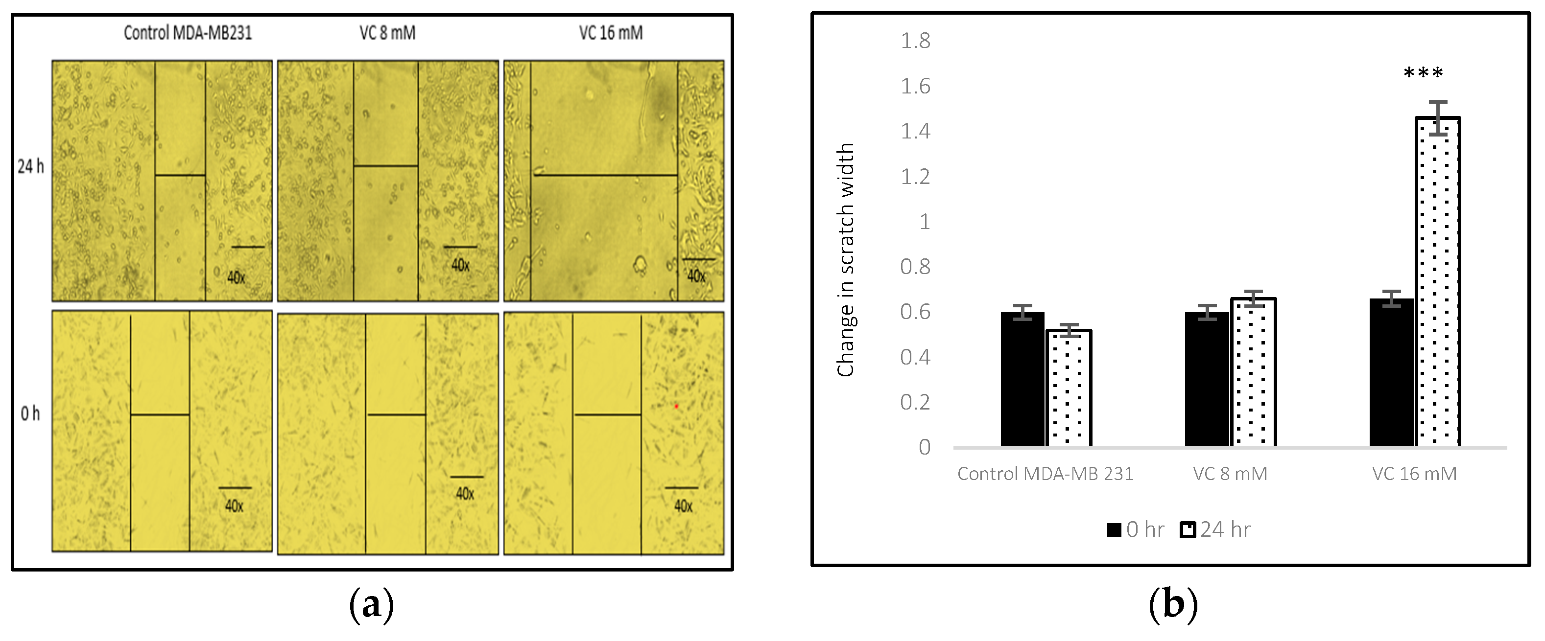 Biomedicines 13 00640 g003a